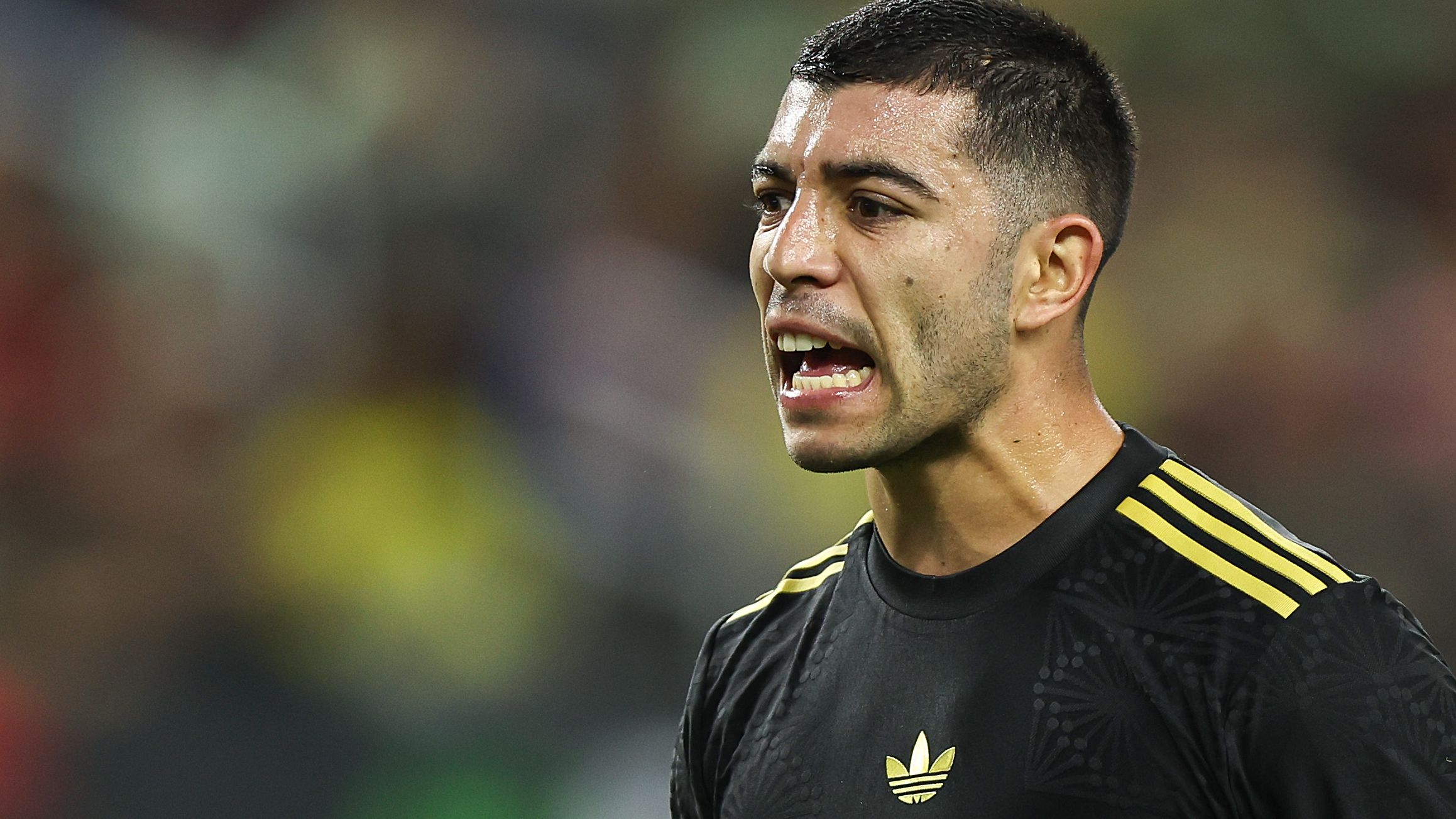 images-v3-getty-2240590431-crop-MM5DEMZRG45DCMZQGM5G433XMU5DAORRGIYQ====-GettyImages-2240590431