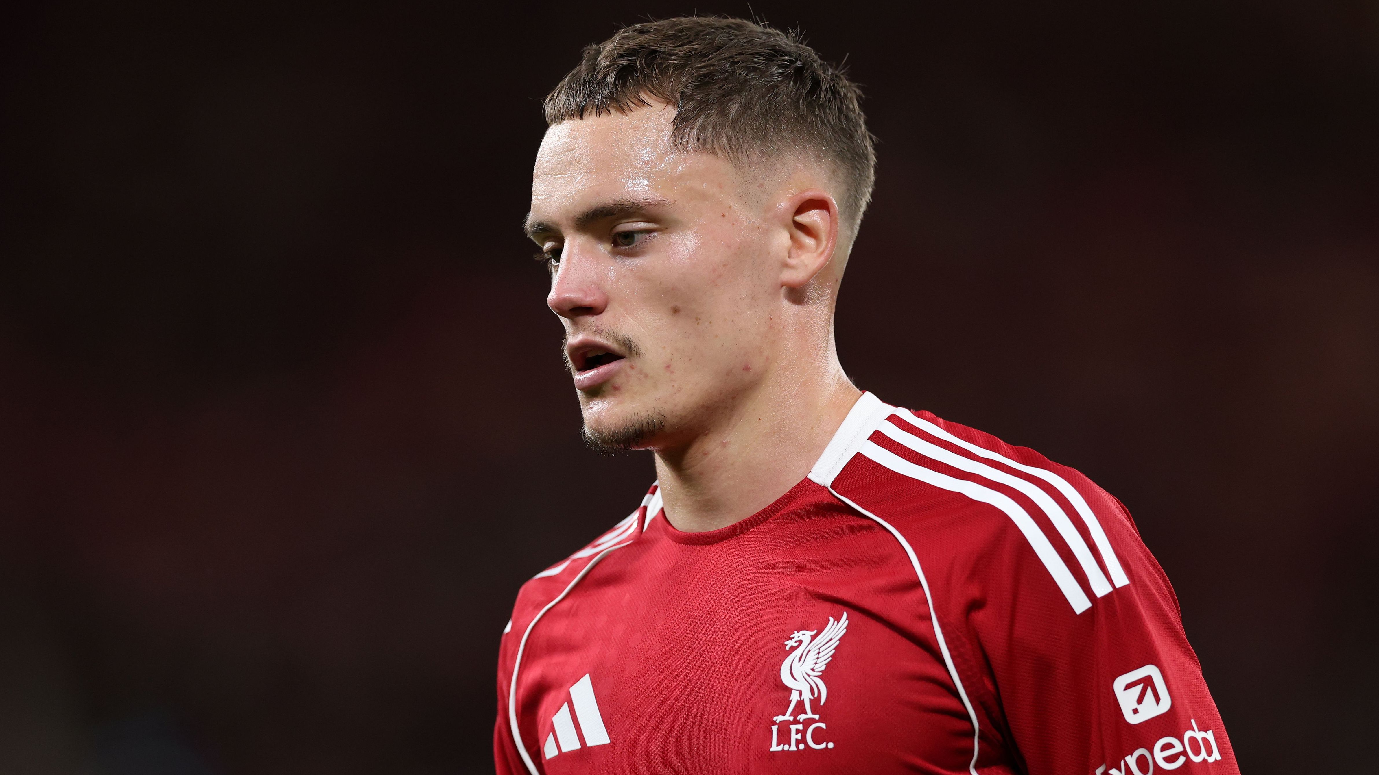 images-v3-getty-2230397869-crop-MM5DINZWHA5DENRYGI5G433XMU5DGOB2GQZQ====-GettyImages-2230397869