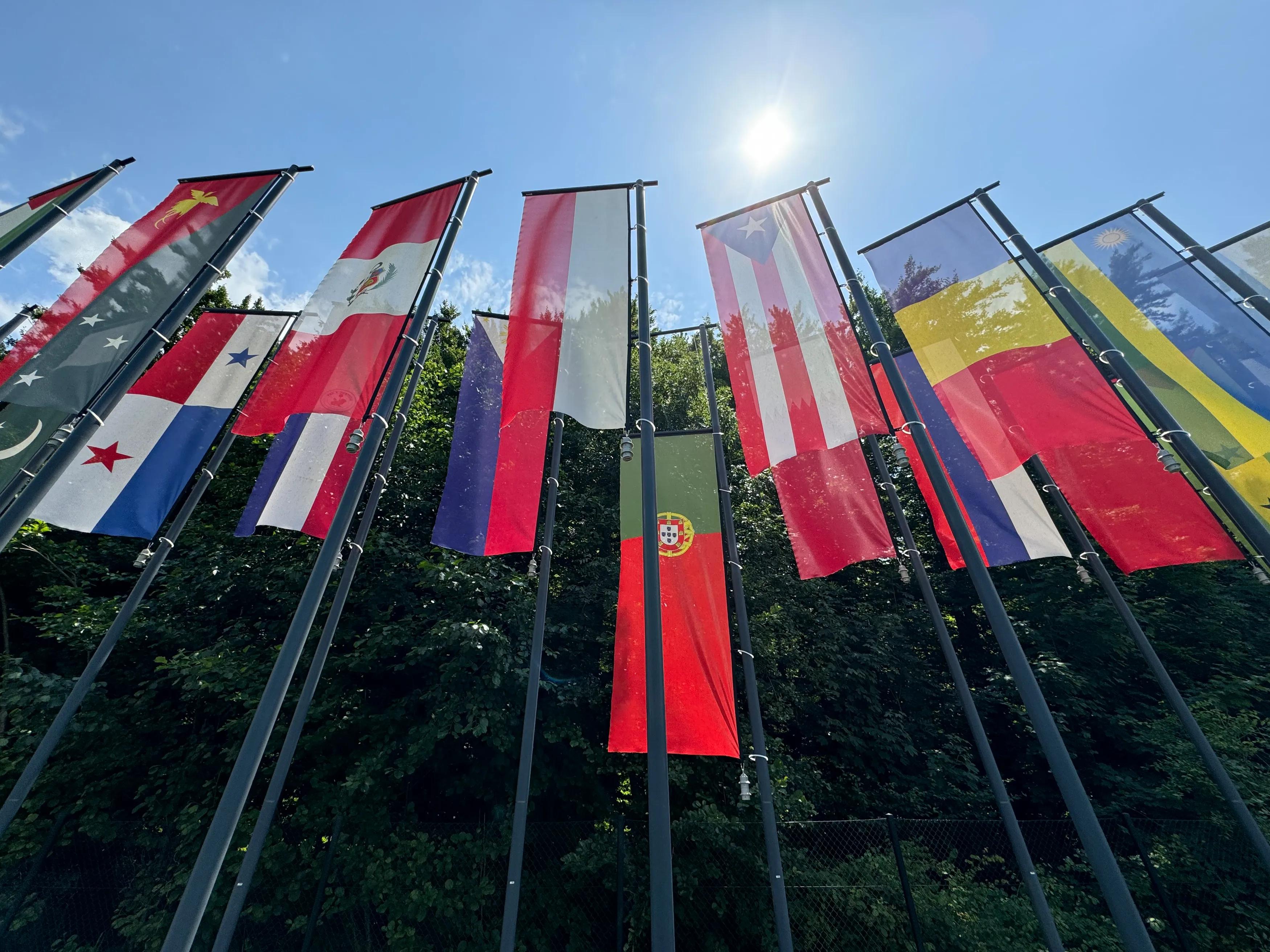 transform-0a8dd96c-4a65-4992-a30d-5e07f3acace4-IMG_5974