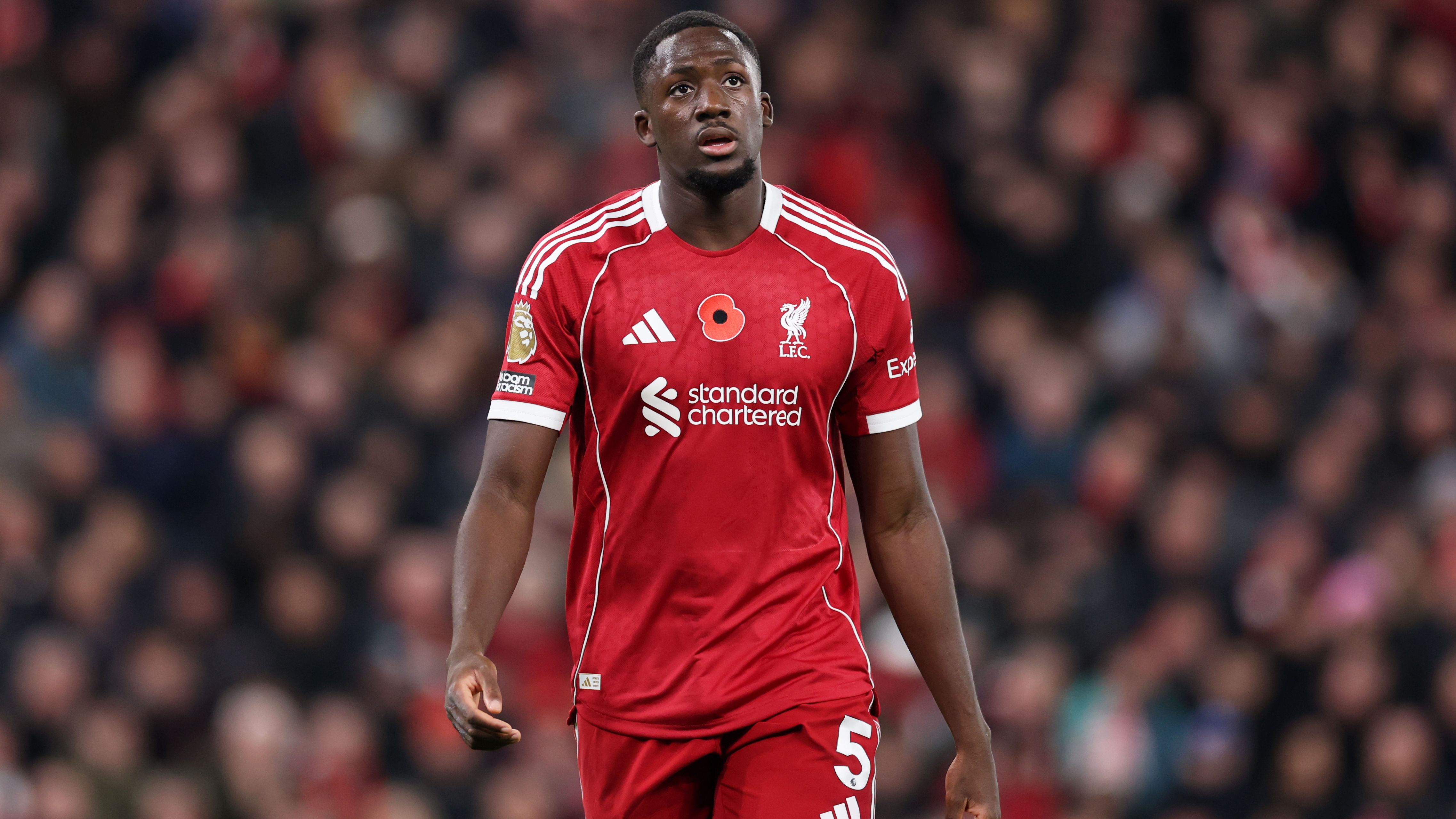 images-v3-getty-2244521044-crop-MM5DINJUHE5DENJVHE5G433XMU5DAORSGM3Q====-GettyImages-2244521044