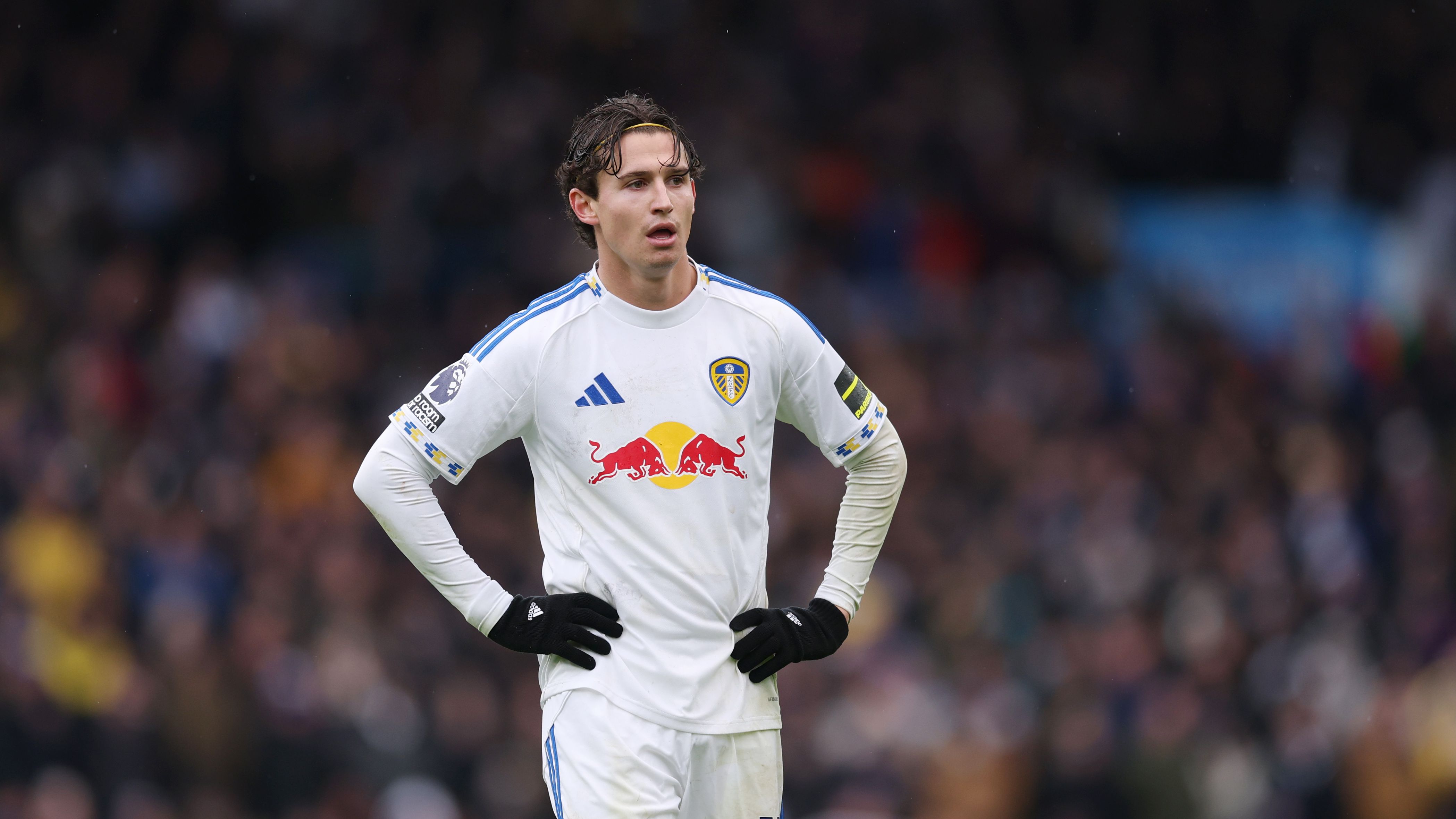 images-v3-getty-2248167393-crop-MM5DIMJZGU5DEMZWGA5G433XMU5DAORSGE4A====-GettyImages-2248167393