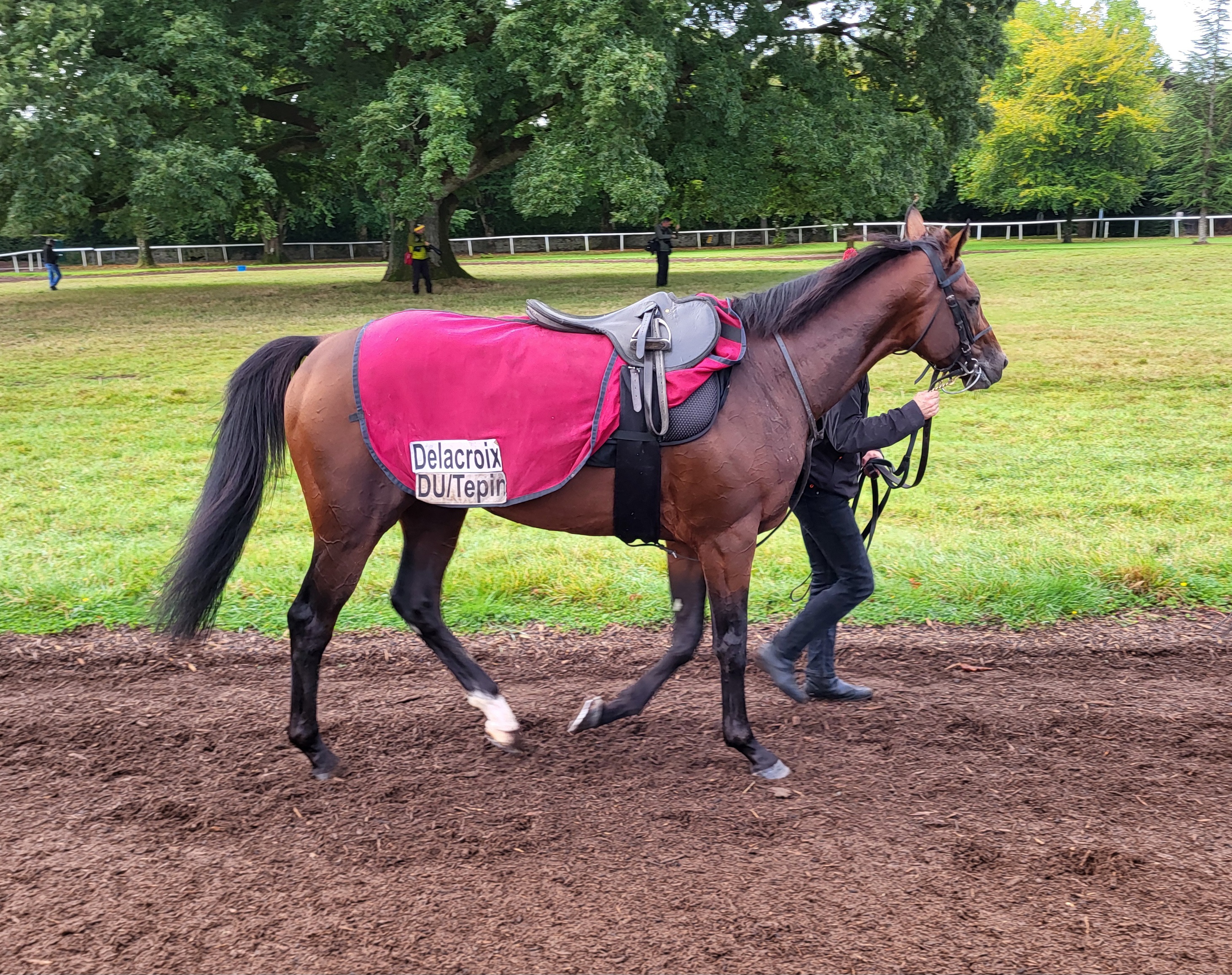 2025-09-01115249-3f22df9d-8a43-4c69-accc-64dbec63321d