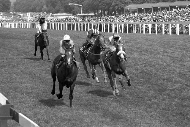 v2-image-production-8c41f1e04fe2d7c64576c8aa5ca0a3c2Y29udGVudHNlYXJjaGFwaSwxNzUxMjE1MDQz-2.14011150