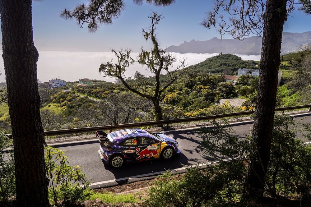 images-mgl-63vbNrgY-s1000-joshua-mcerlean-eoin-treacy-m-