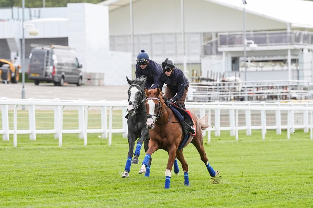 2025-05-27124525-af2b77cd-d979-4637-a473-986c7ee23fbe