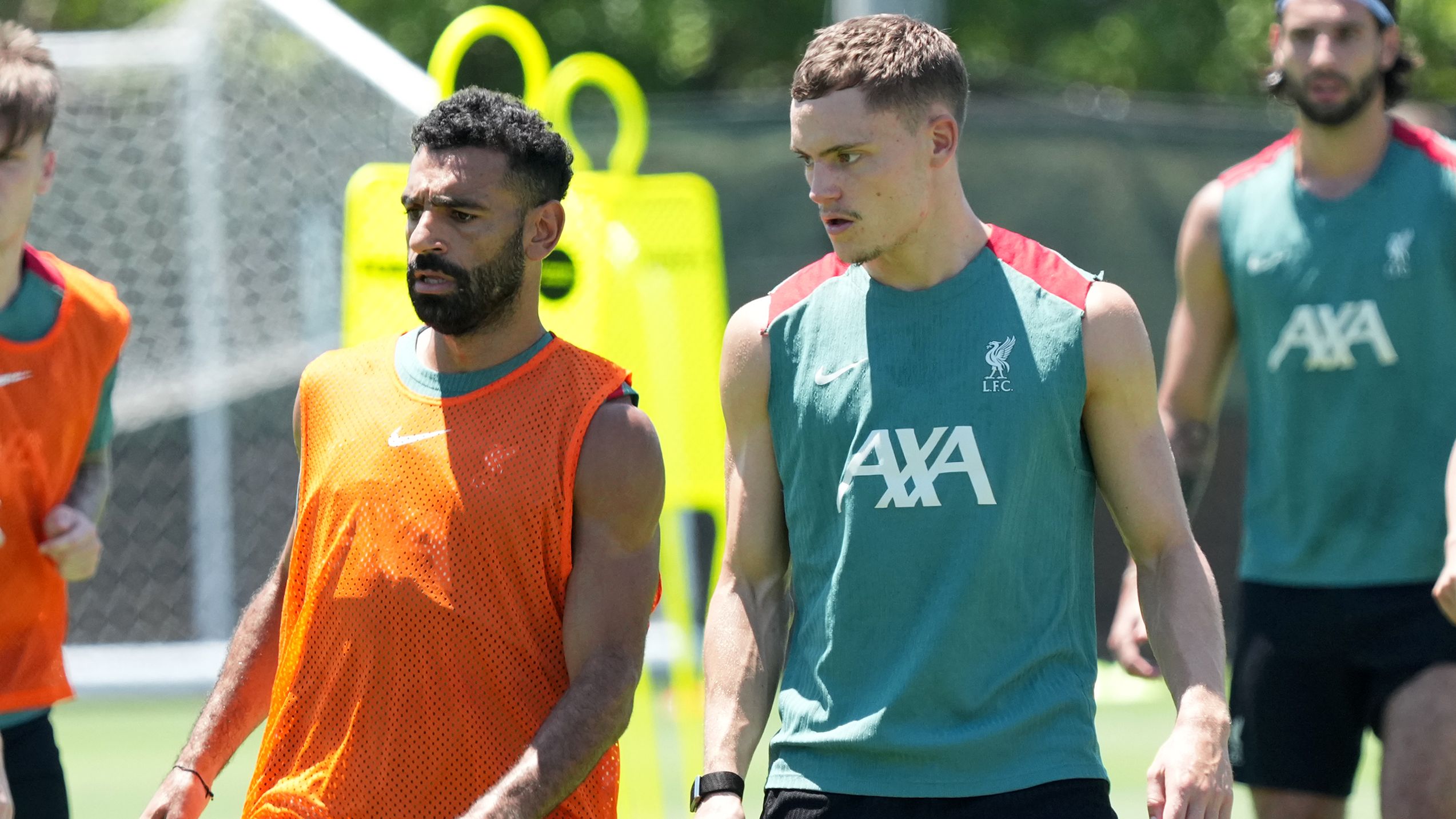 images-v3-bltc0804a47117e113e-crop-MM5DENJUG45DCNBTGM5G433XMU5DONBXHIZDSOA=-GettyImages-2227529619