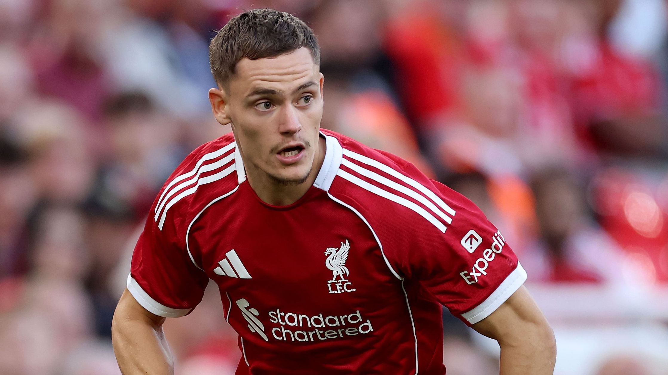 images-v3-getty-2228629726-crop-MM5DEMRTG45DCMRVHA5G433XMU5DCOJRGE5DCMZQ-GettyImages-2228629726