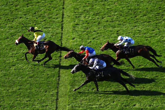 v2-image-production-879b8a54f810207d0bef254fe01f149cY29udGVudHNlYXJjaGFwaSwxNzUwMzUyNzg5-2.80705798