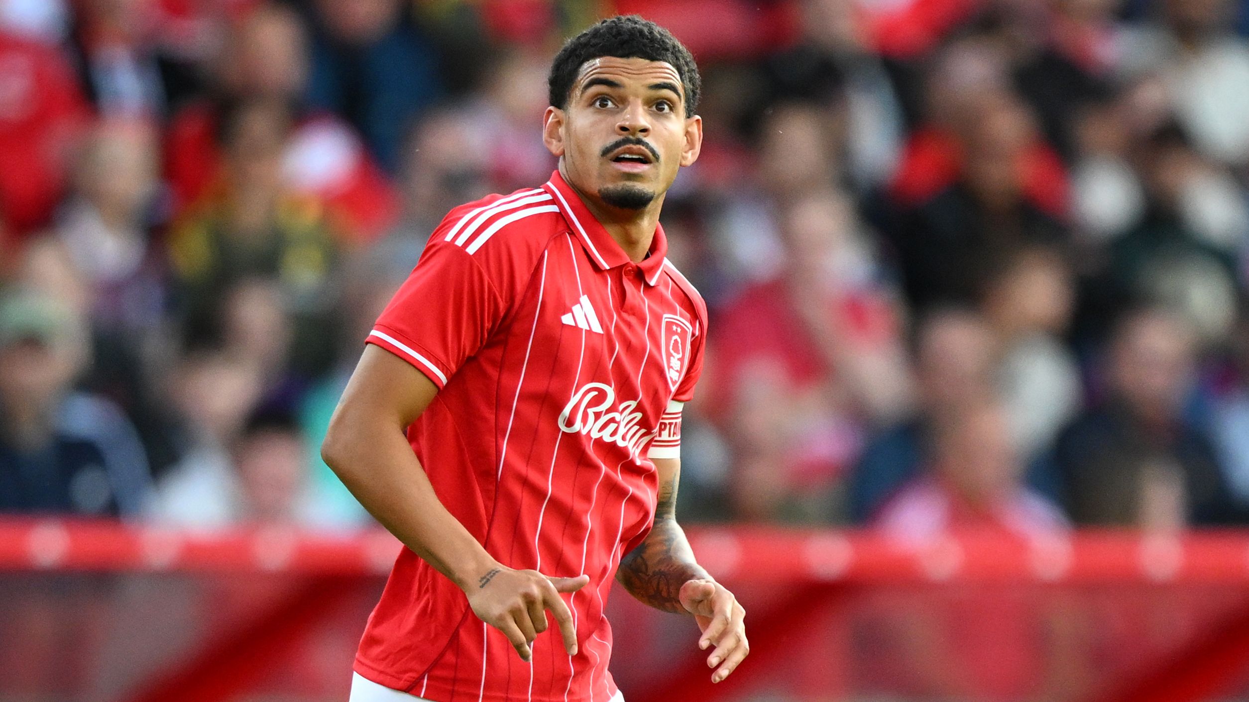 images-v3-getty-2228682907-crop-MM5DENJQHE5DCNBRGE5G433XMU5DCMJXGY5DENZW-GettyImages-2228682907