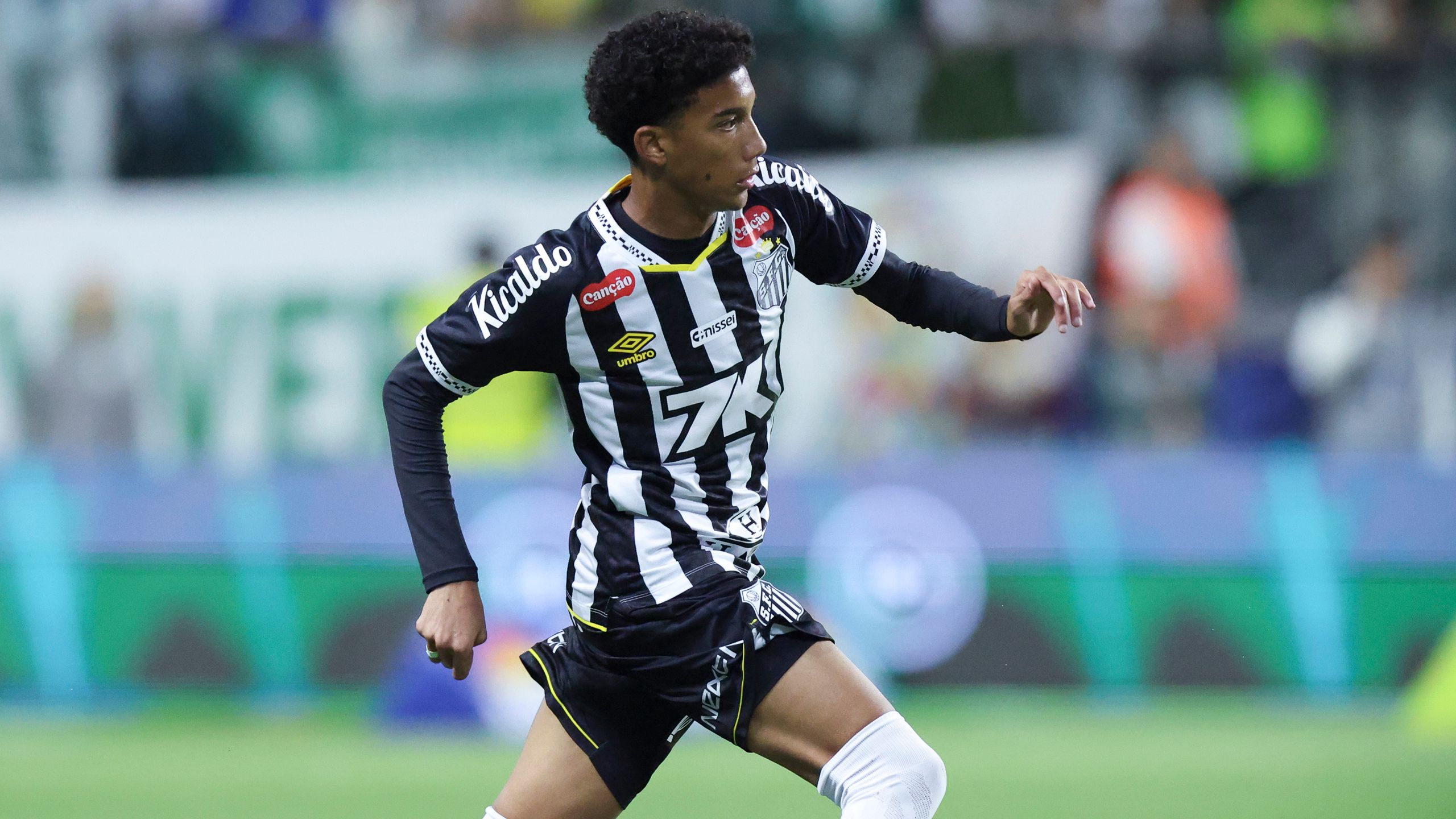 images-v3-getty-2245417142-crop-MM5DENJWGA5DCNBUGA5G433XMU5DGMZRHI2DI===-GettyImages-2245417142