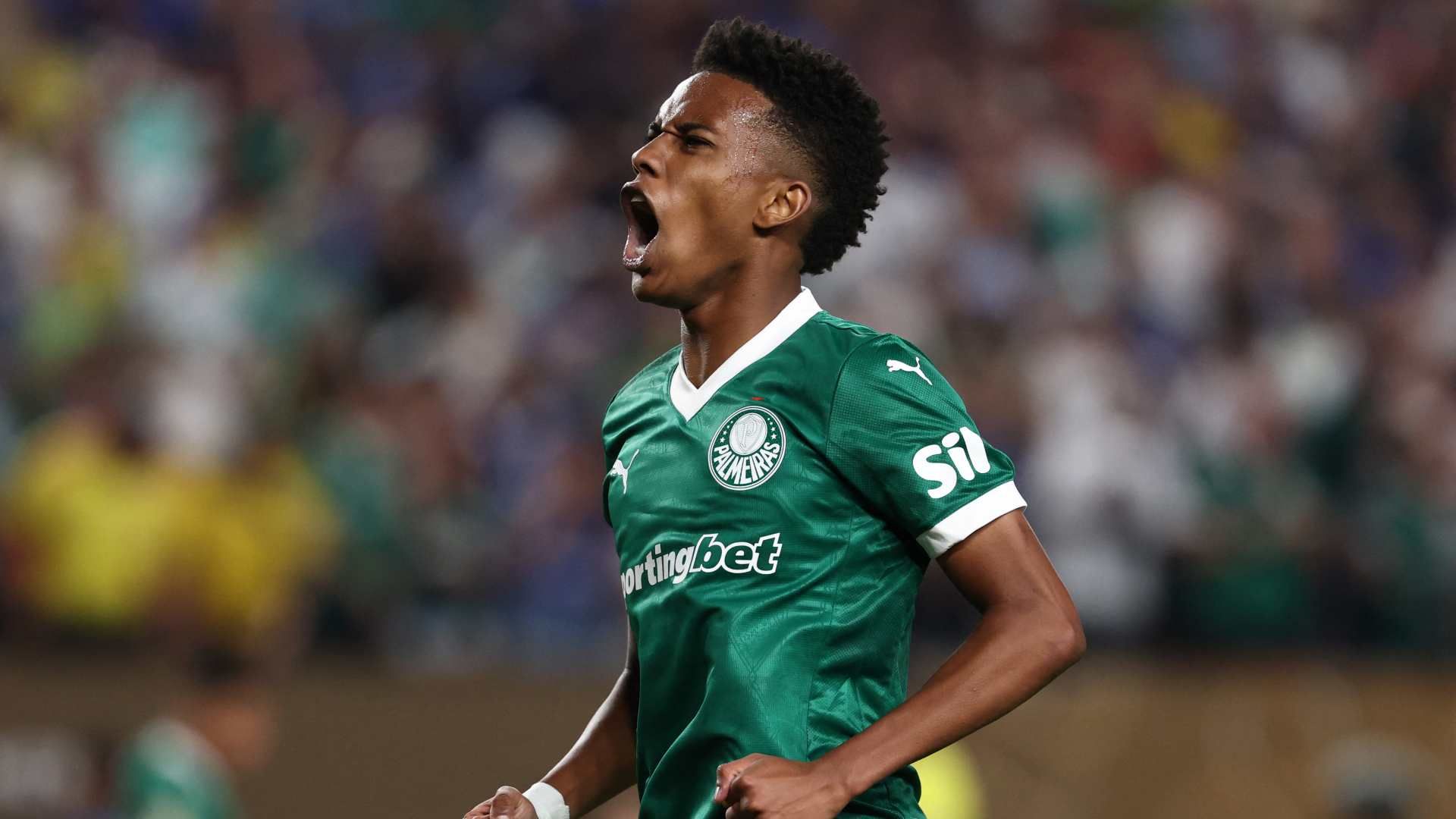 images-v3-blt8a868687cf4e8f88-estevao%20(1)