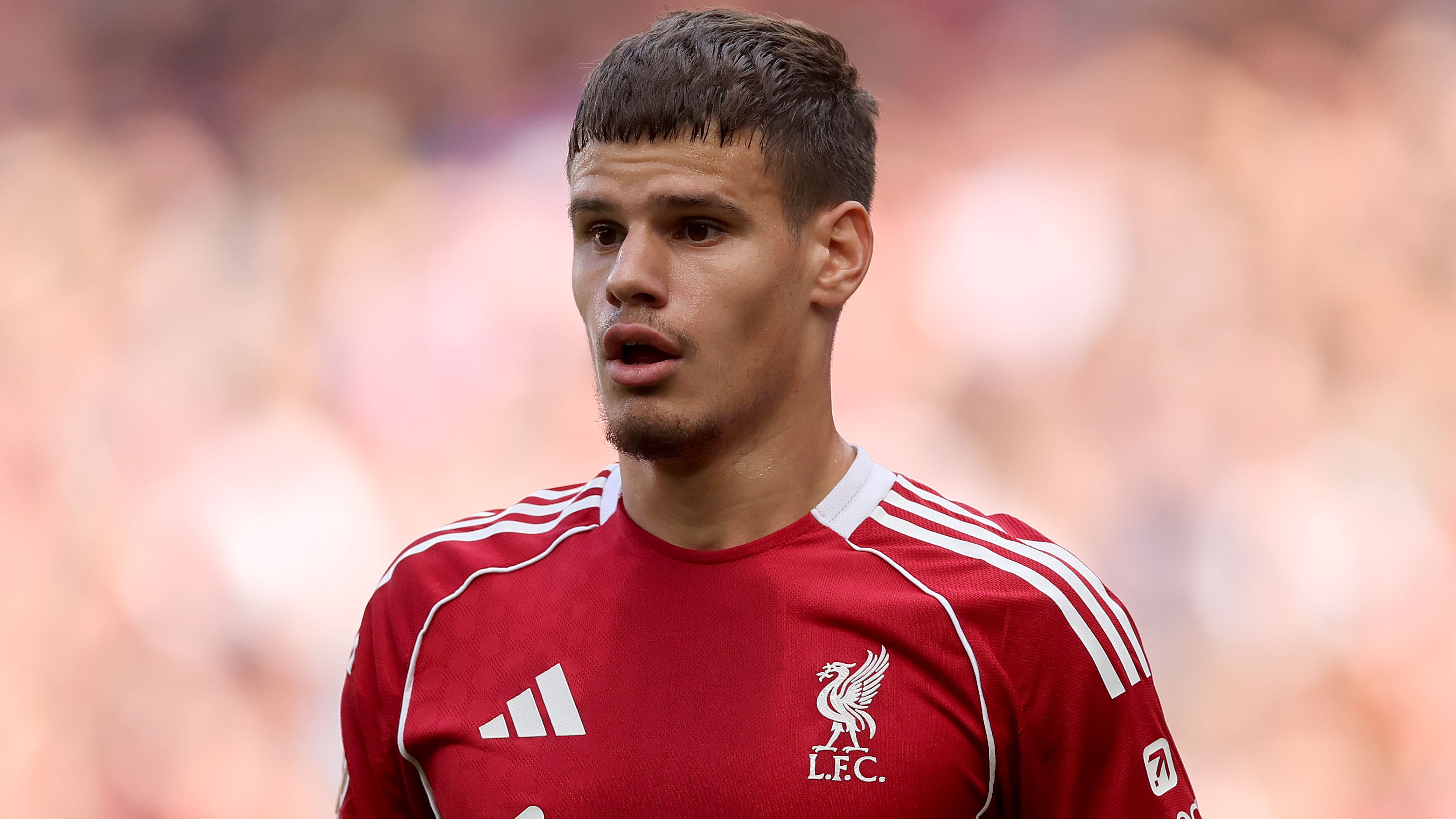 images-v3-getty-2233025482-crop-MM5DGMZTGE5DCOBXGQ5G433XMU5DMMJQHIYTENI=-GettyImages-2233025482