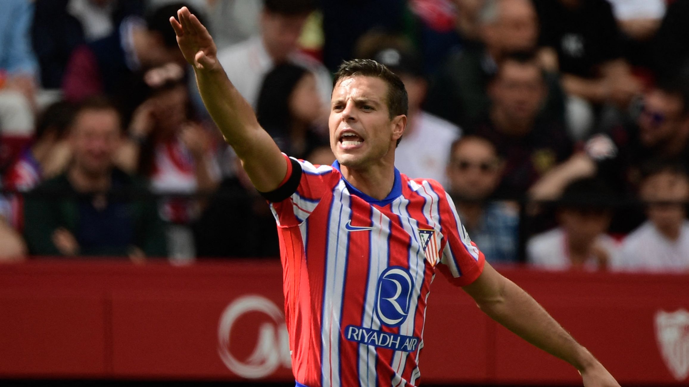 images-v3-getty-2208236141-crop-MM5DEMZRGQ5DCMZQGE5G433XMU5DINBVHI4DI===-GettyImages-2208236141