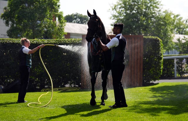 v2-image-production-d472f764db1339bdf5d5ac360eb0b0edY29udGVudHNlYXJjaGFwaSwxNzUwNDMyMTIx-2.80714860