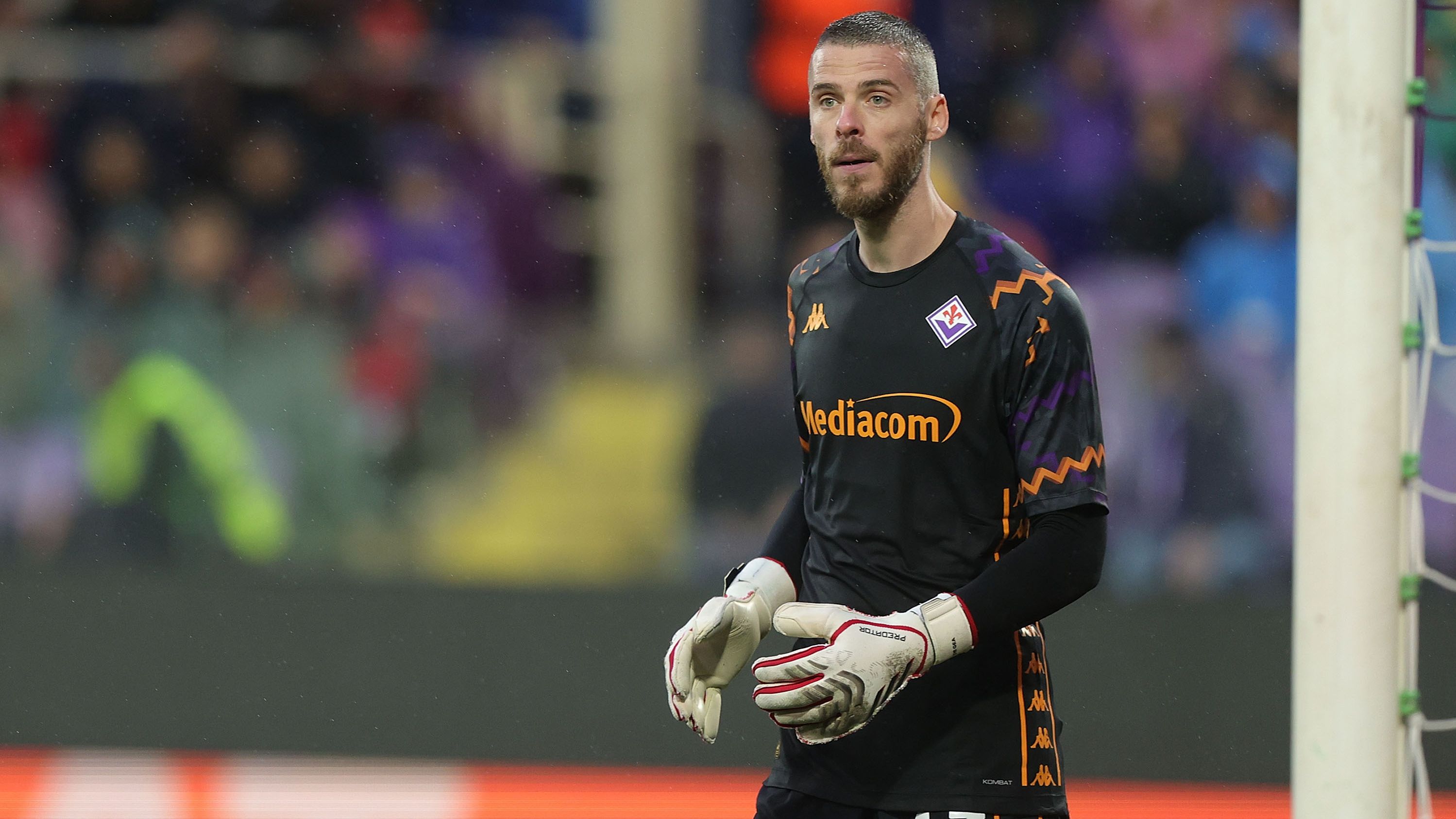 images-v3-getty-2210082522-crop-MM5DEOJZHA5DCNRYGY5G433XMU5DAORUHE======-GettyImages-2210082522