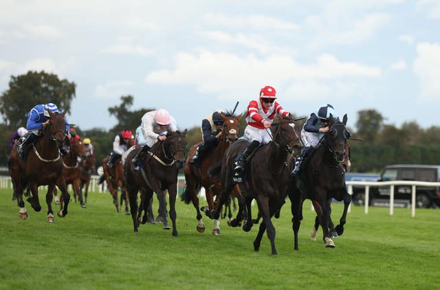 v2-image-production-8b03757113e7df7332b720cae60e788fY29udGVudHNlYXJjaGFwaSwxNzU5OTI4NDM3-2.81596800