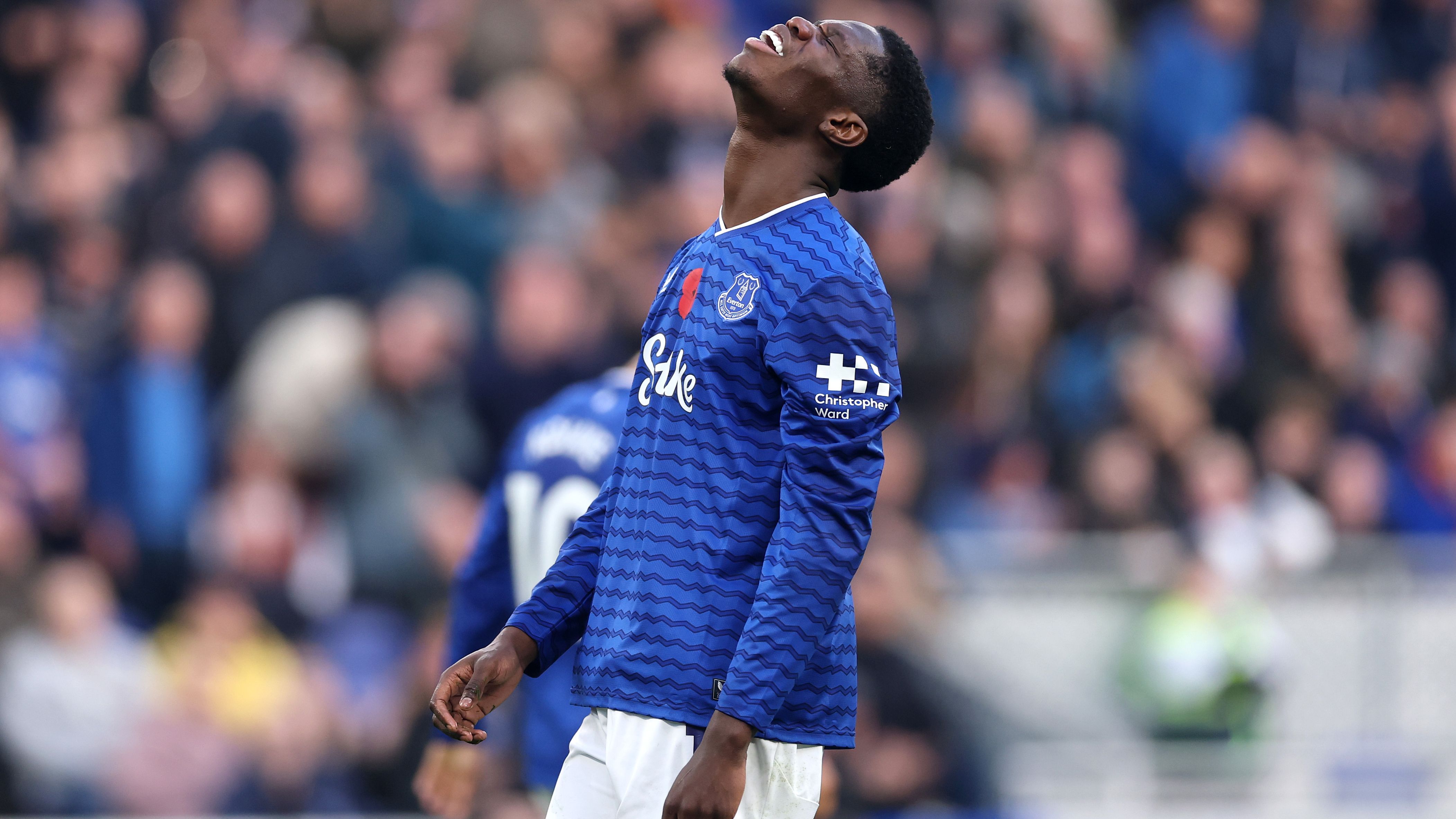 images-v3-getty-2245667404-crop-MM5DIMRQGY5DEMZWGY5G433XMU5DAORSGIYA====-GettyImages-2245667404