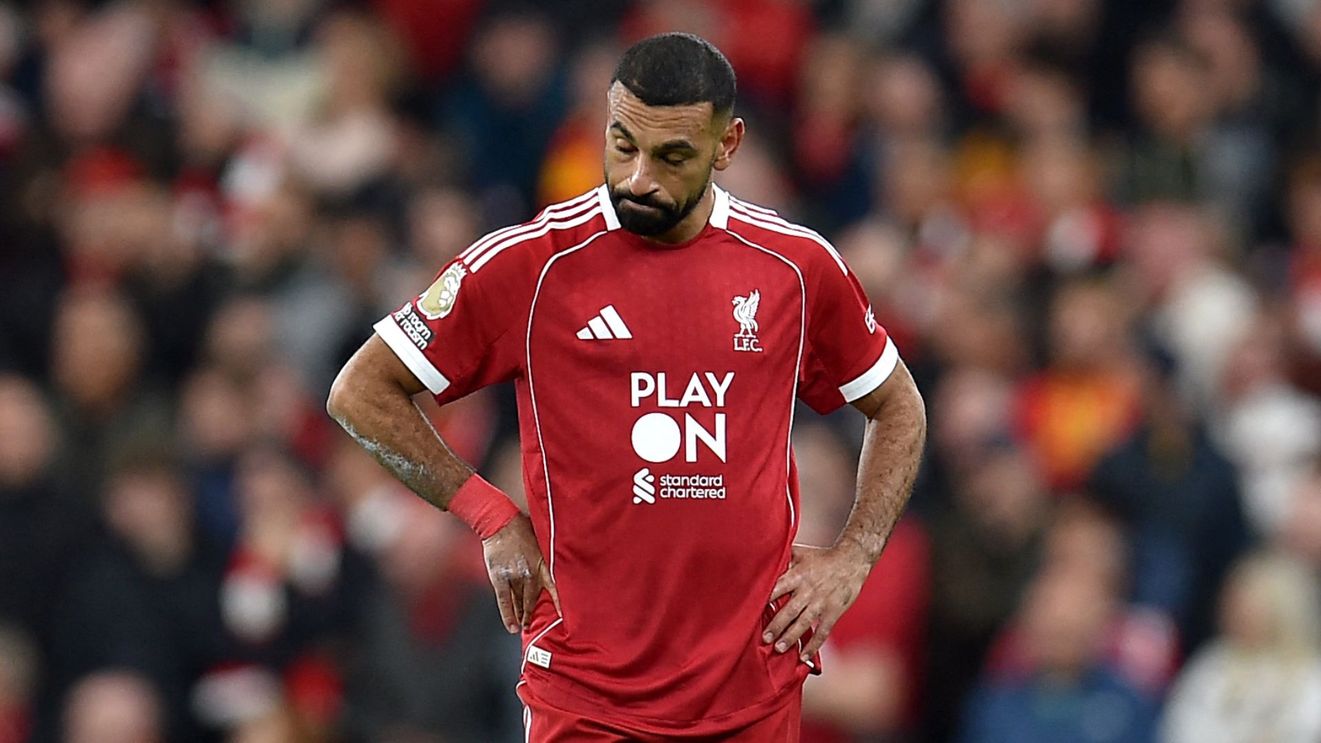 images-v3-blt8d7a5ae599204168-3