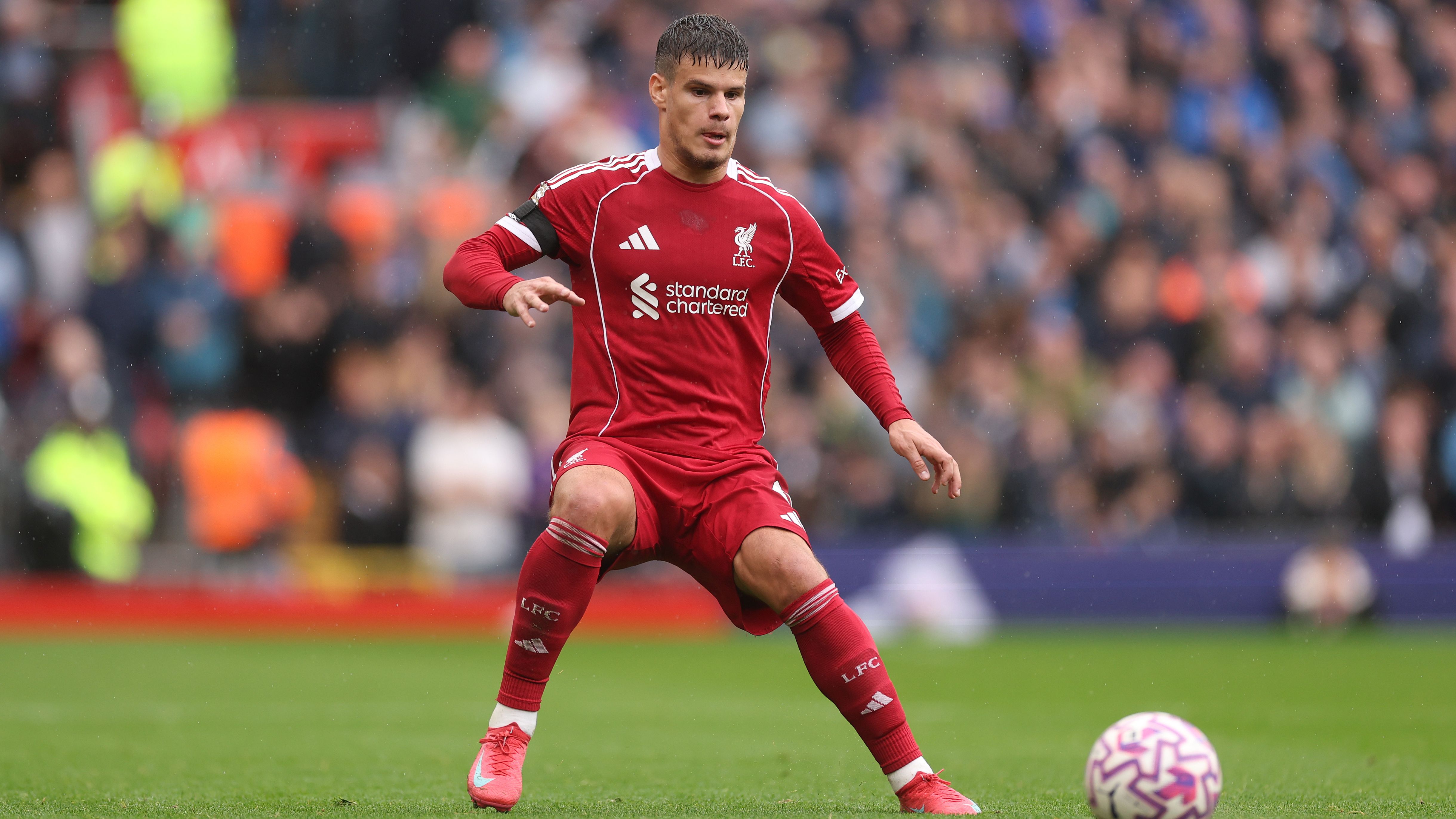 images-v3-getty-2236402793-crop-MM5DIOBXHA5DENZUGQ5G433XMU5DAORSGU2A====-GettyImages-2236402793