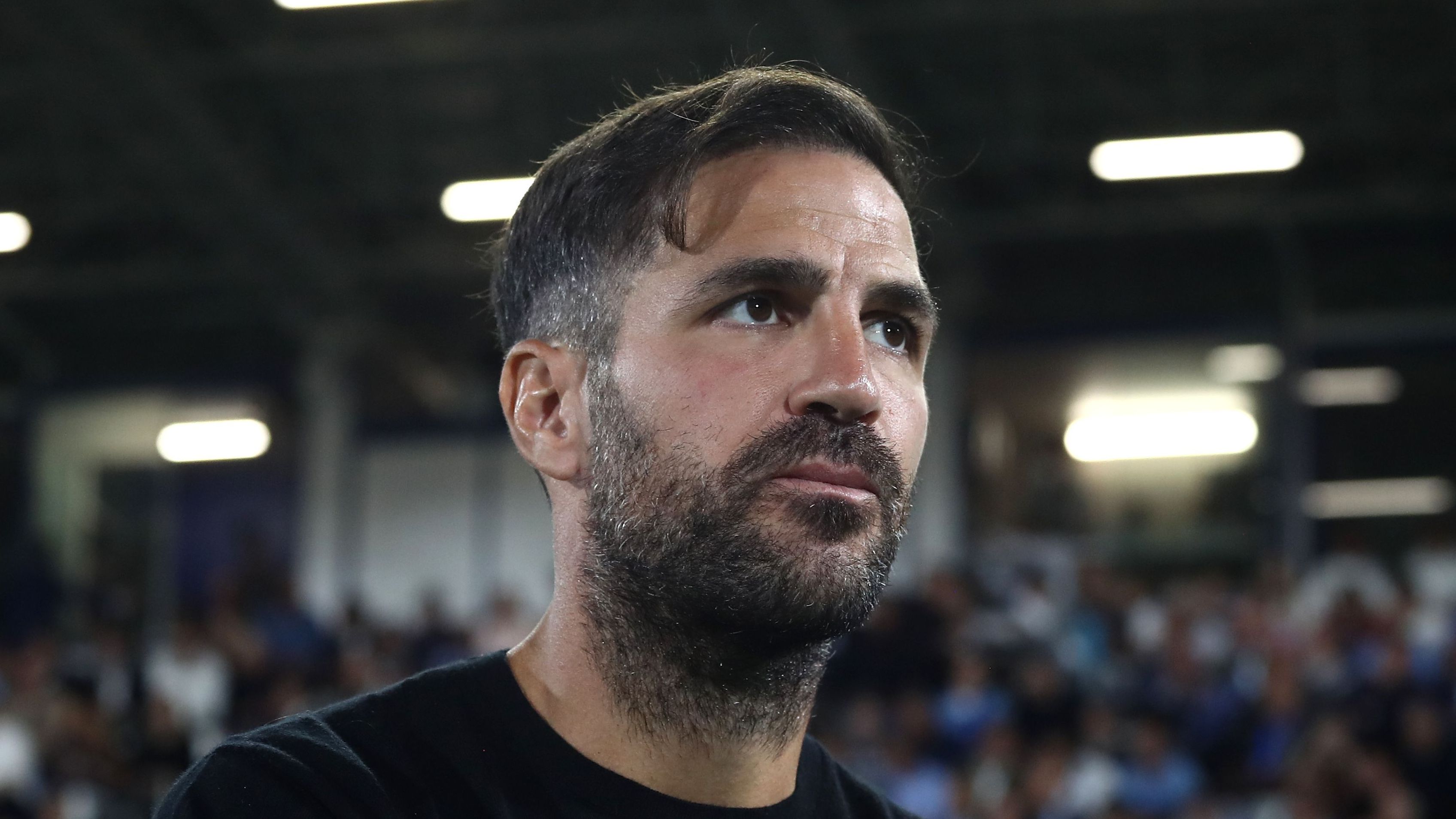 images-v3-getty-2235701044-crop-MM5DGMZZGI5DCOJQHA5G433XMU5DIMJTHI2DI===-GettyImages-2235701044