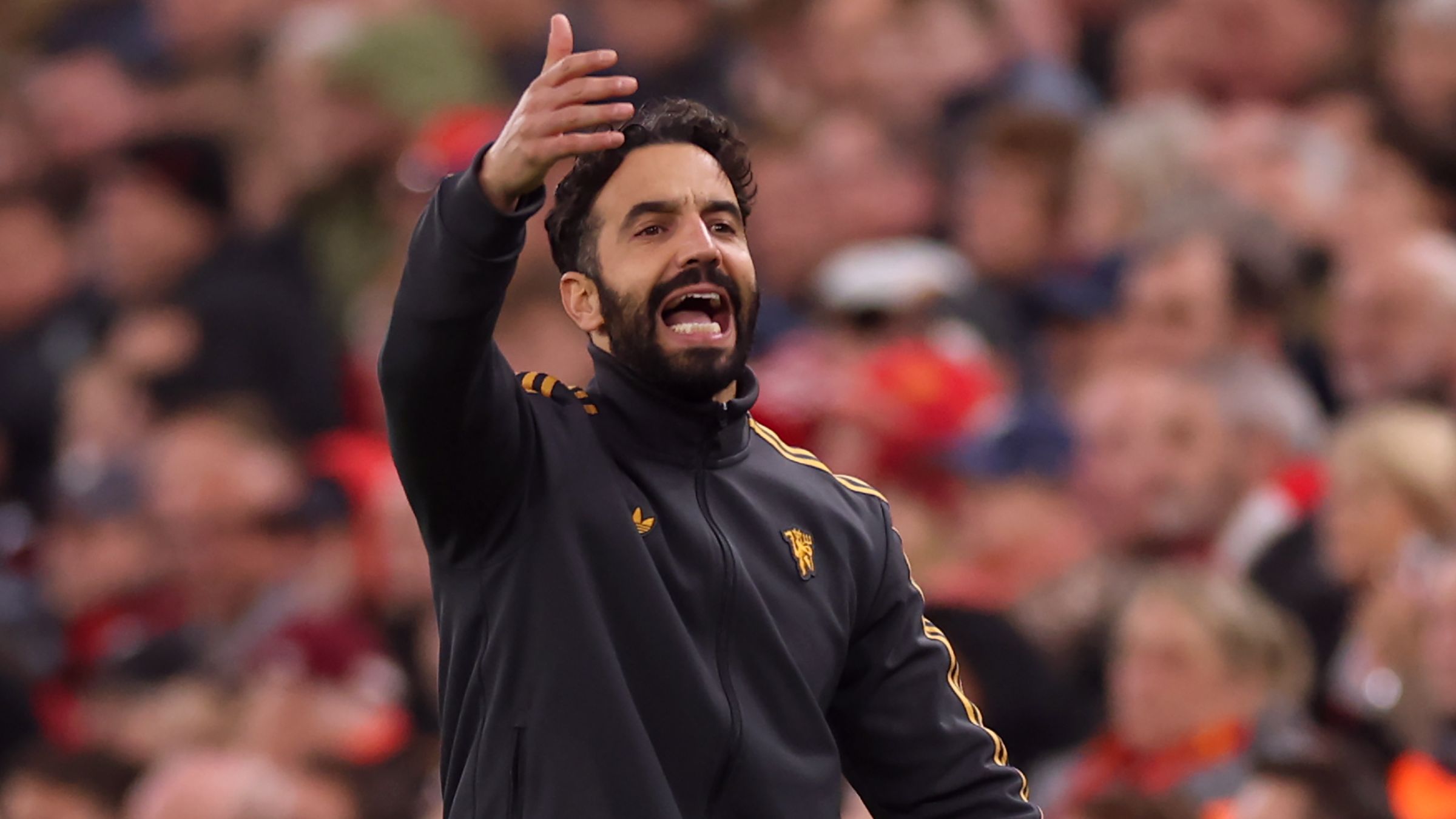 images-v3-getty-2242025730-crop-MM5DENBQGA5DCMZVGA5G433XMU5DGMZQHIZDAMA=-GettyImages-2242025730