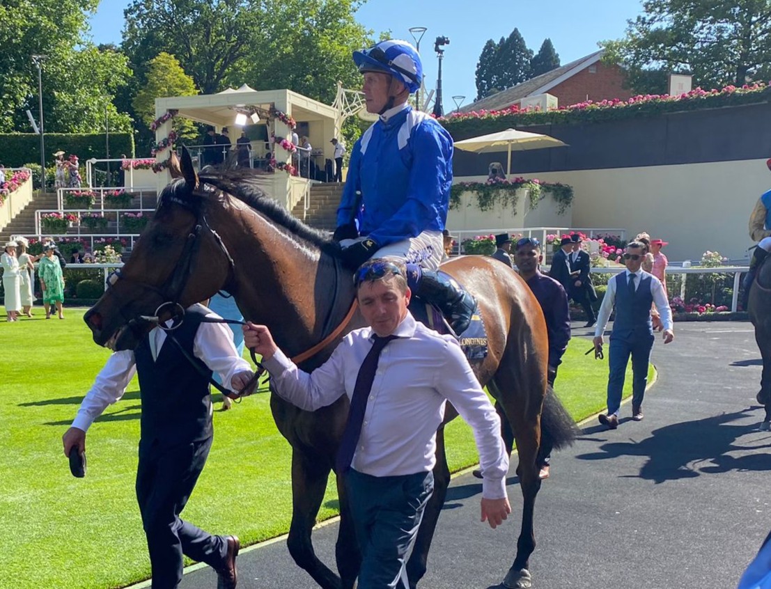 2025-06-18163538-39d852d0-52c5-4361-8f2c-c60cffcabc25