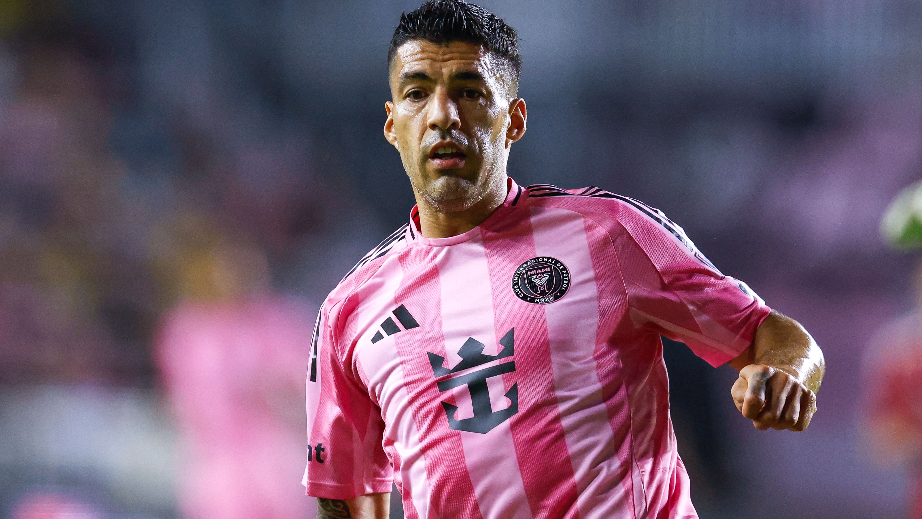 images-v3-getty-2212707495-crop-MM5DGMRQGA5DCOBQGA5G433XMU5DGNBTHI3DK===-GettyImages-2212707495