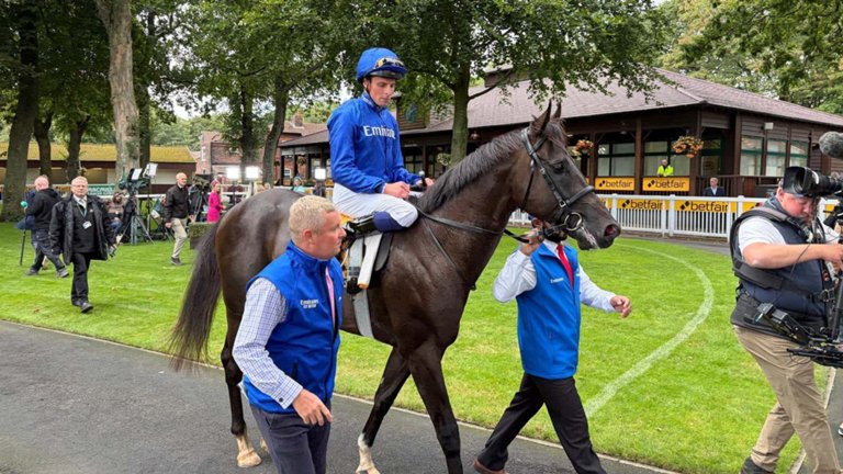 First Law stays unbeaten with Haydock victory