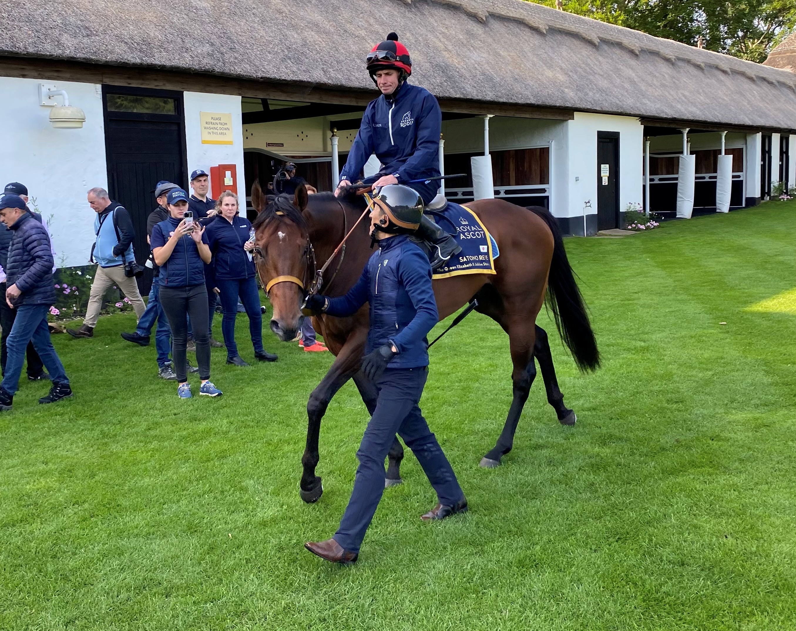 2025-06-11133629-c1abea37-583f-415a-829e-07e8b8fd2cf3