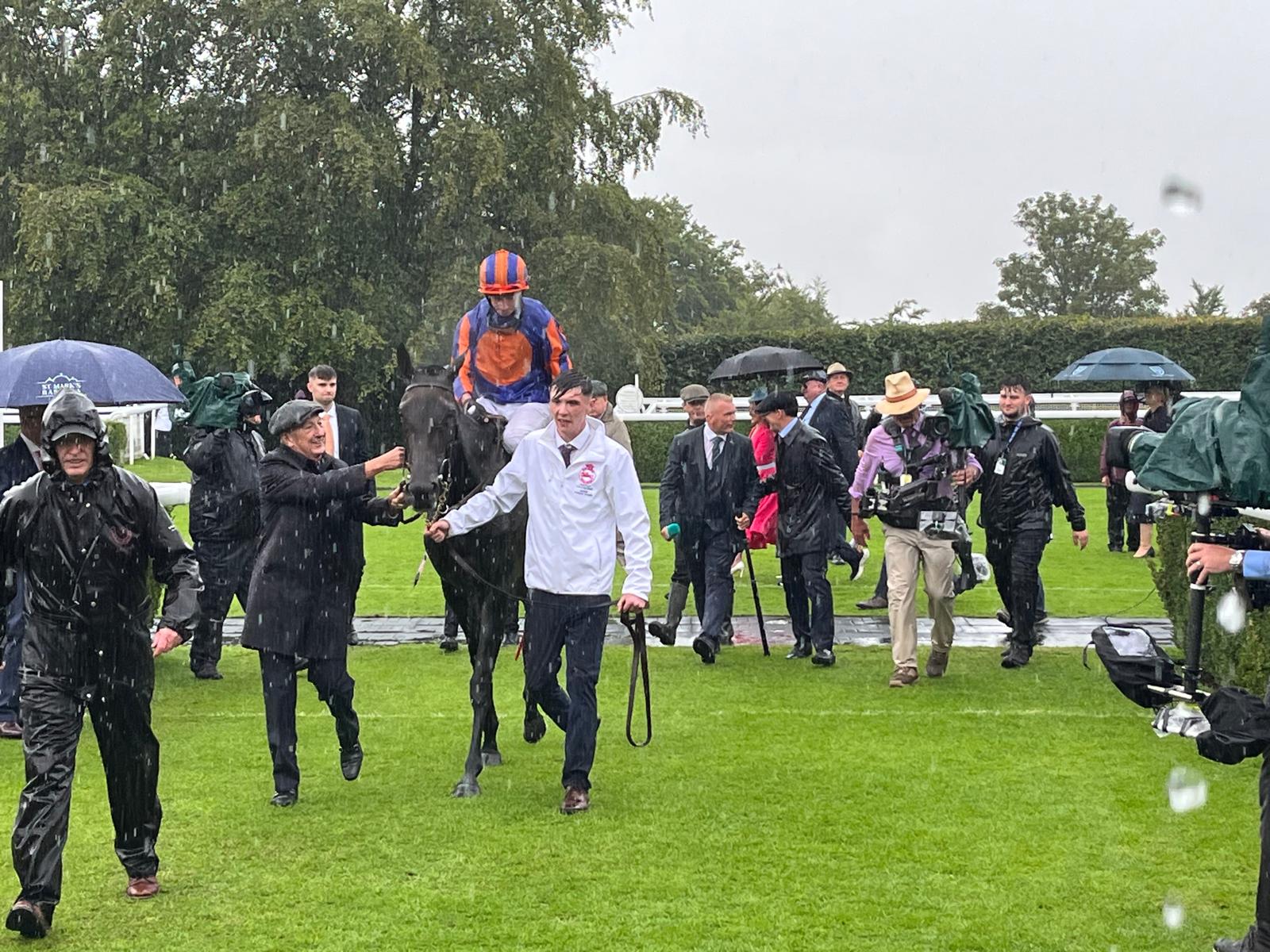 2025-07-31153435-d97aac77-94df-4b38-914c-a074a07d4671