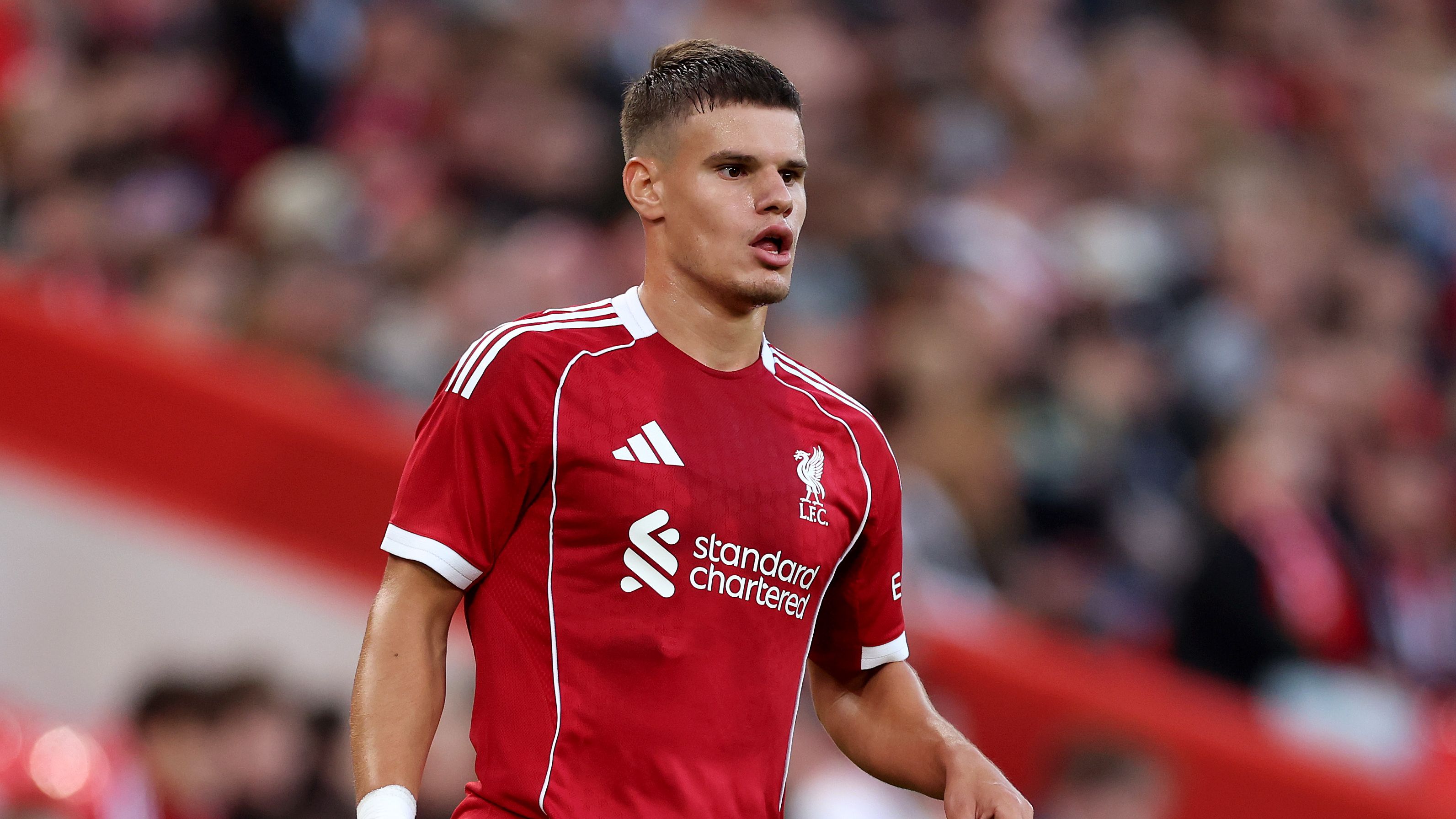 images-v3-getty-2228630633-crop-MM5DGMJYGU5DCNZZGE5G433XMU5DENZSHIYTCNY=-GettyImages-2228630633