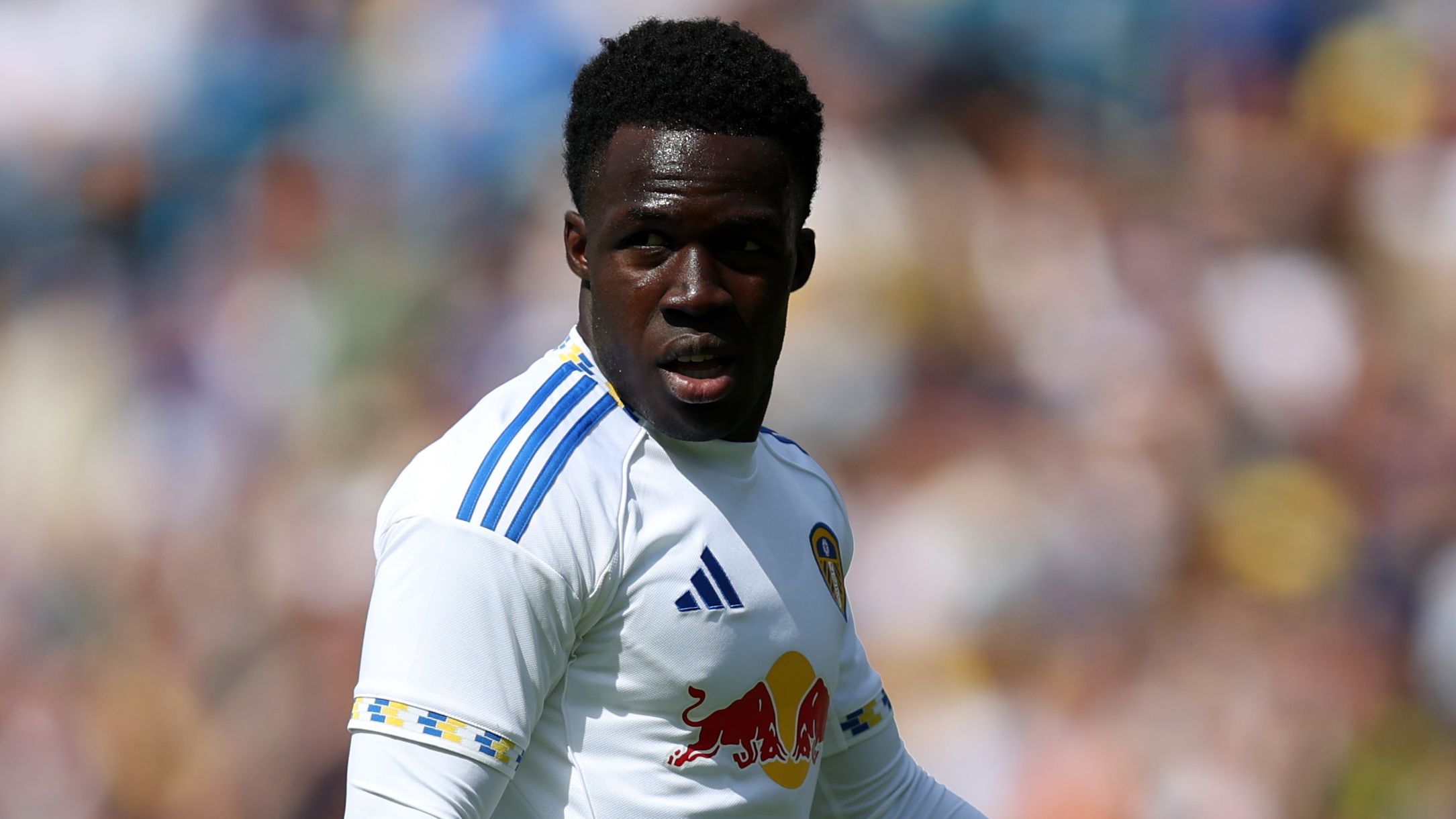 images-v3-getty-2228234627-crop-MM5DEMJWHE5DCMRSGA5G433XMU5DCMBWG45DEMZR-GettyImages-2228234627