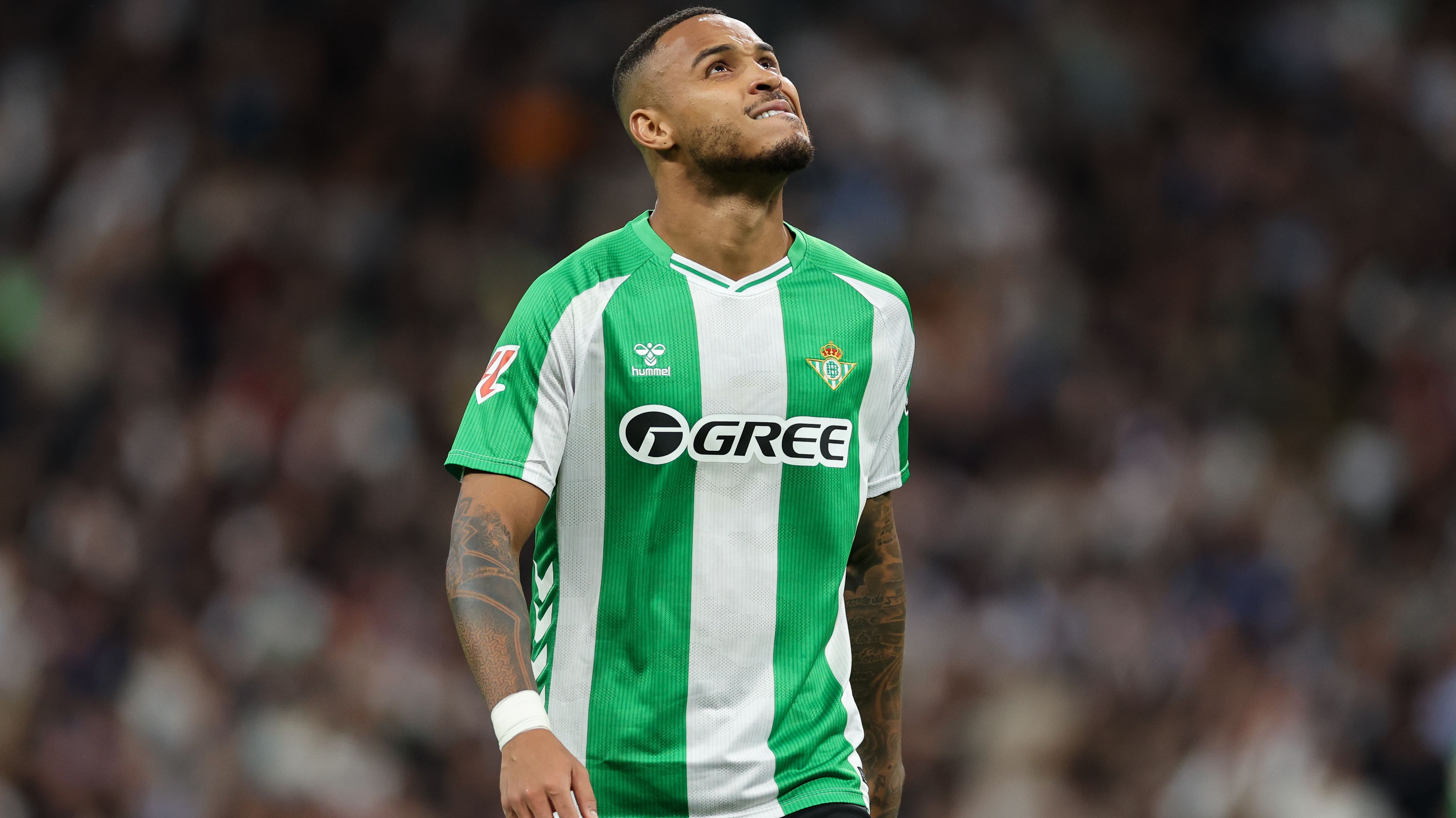 images-v3-getty-2255083339-crop-MM5DGNJQGA5DCOJWHE5G433XMU5DAORRHAZA====-GettyImages-2255083339