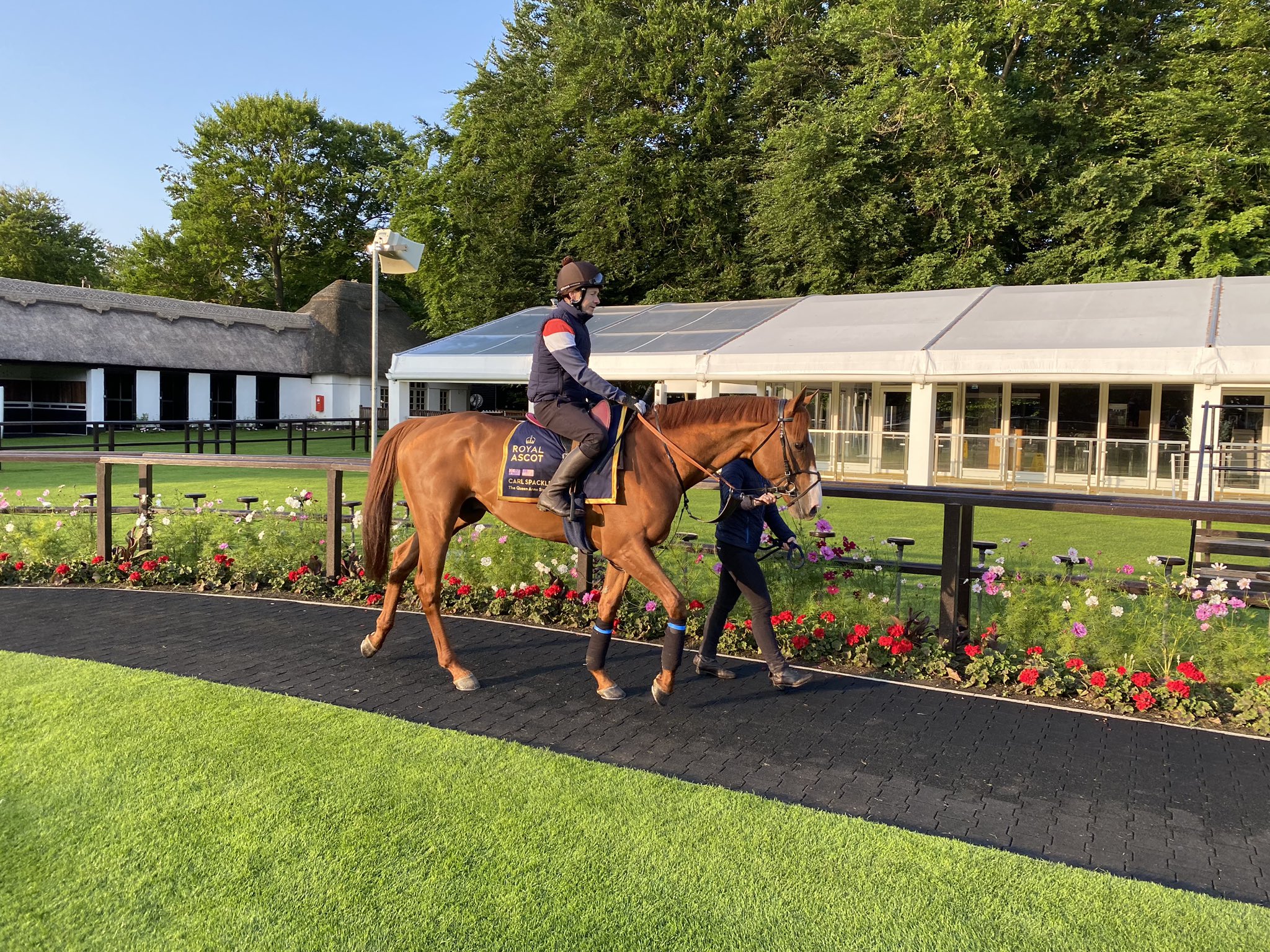 2025-06-15125843-ea488f22-ed91-45ea-b546-e1613ee9d502