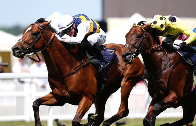 v2-image-production-22ffc23a183bfa02ccf0f2d5d901eda9Y29udGVudHNlYXJjaGFwaSwxNzUzNDQ2MjM3-2.80690890