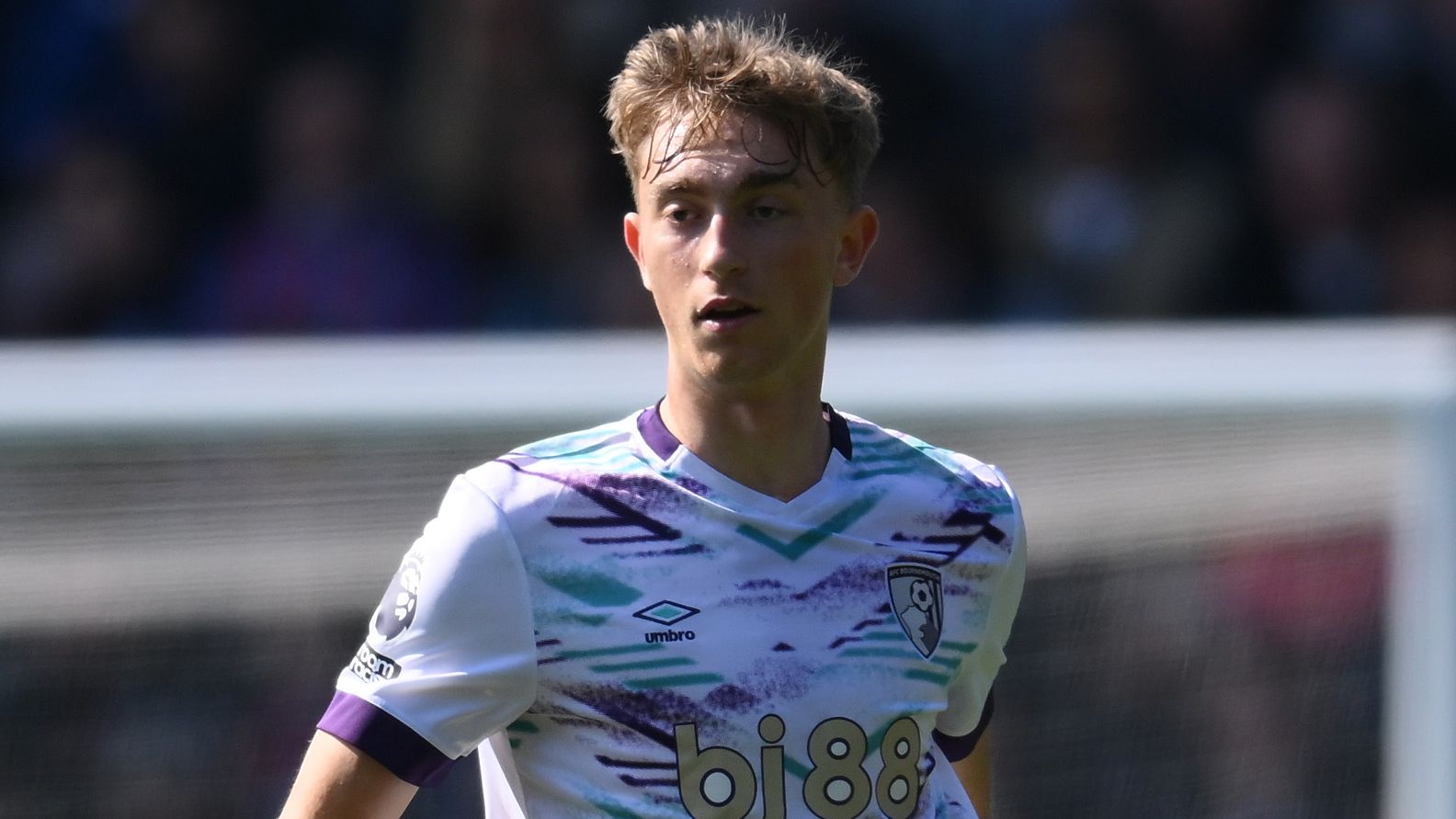 images-v3-getty-2211158491-crop-MM5DCNJYGQ5DQOJRHJXG653FHIYTCMR2GE3TI===-GettyImages-2211158491