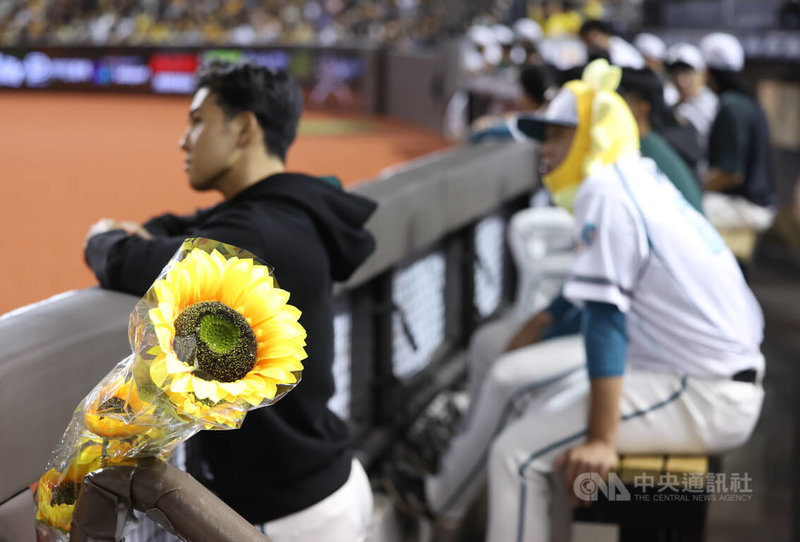 www-WebPhotos-800-20250822-1134x768_wmky_0_C20250822000187