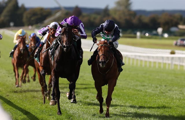 v2-image-production-336c20d45156278f40af2741340230ceY29udGVudHNlYXJjaGFwaSwxNzU5ODM1NTcy-2.81609162