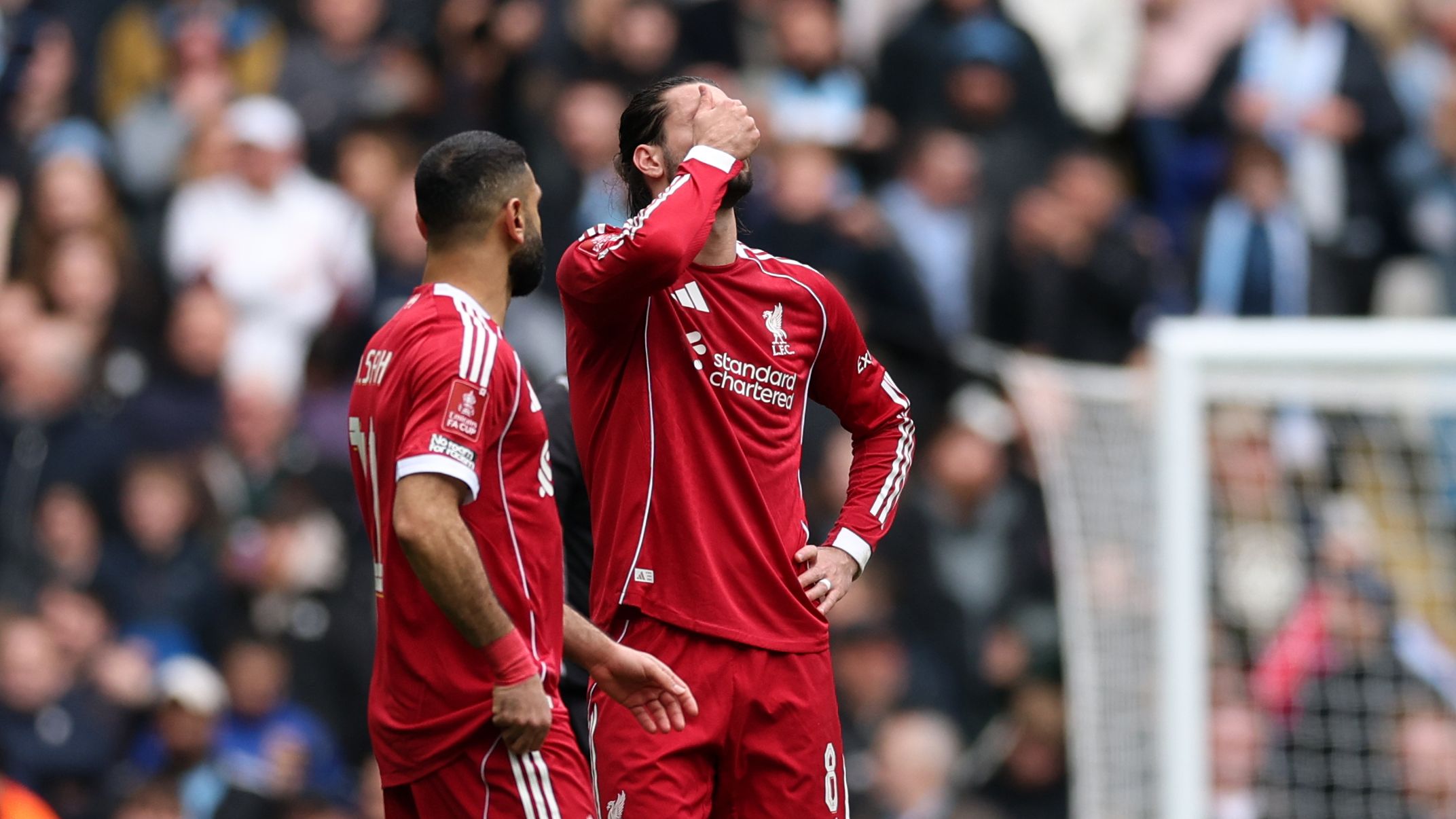 images-v3-getty-2269778242-crop-MM5DEMJUGQ5DCMRQGY5G433XMU5DGOBSHIYTCMY=-GettyImages-2269778242