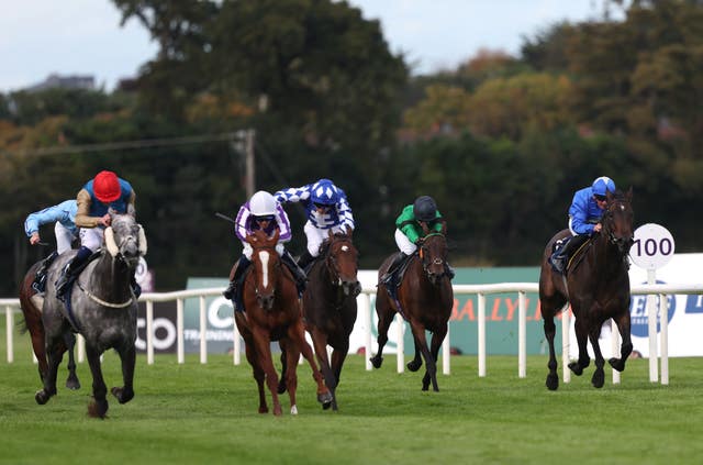 v2-image-production-1264ebb7ef153ca17798a77ed22d9e80Y29udGVudHNlYXJjaGFwaSwxNzU3ODY0OTA0-2.81594346