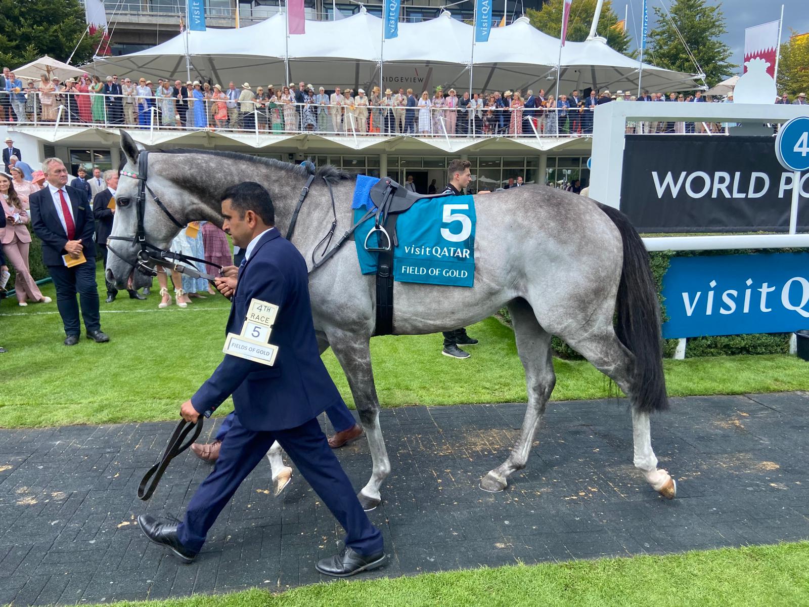 2025-07-30154936-bf55b93d-3ca3-4908-8cdd-7ba9f68d5afb