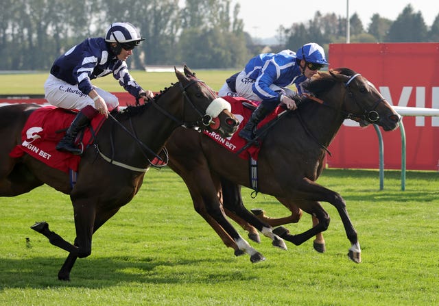 v2-image-production-978cb6505b56fd38ad84d61be48d9f59Y29udGVudHNlYXJjaGFwaSwxNzU3MTU1Njk0-2.77537166