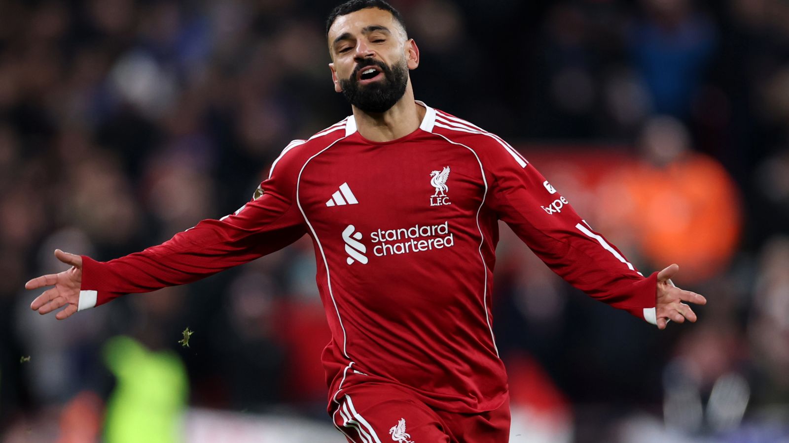 images-v3-blta35576812849b28f-Projekt%20Bild%20zuschneiden-4%20(9)