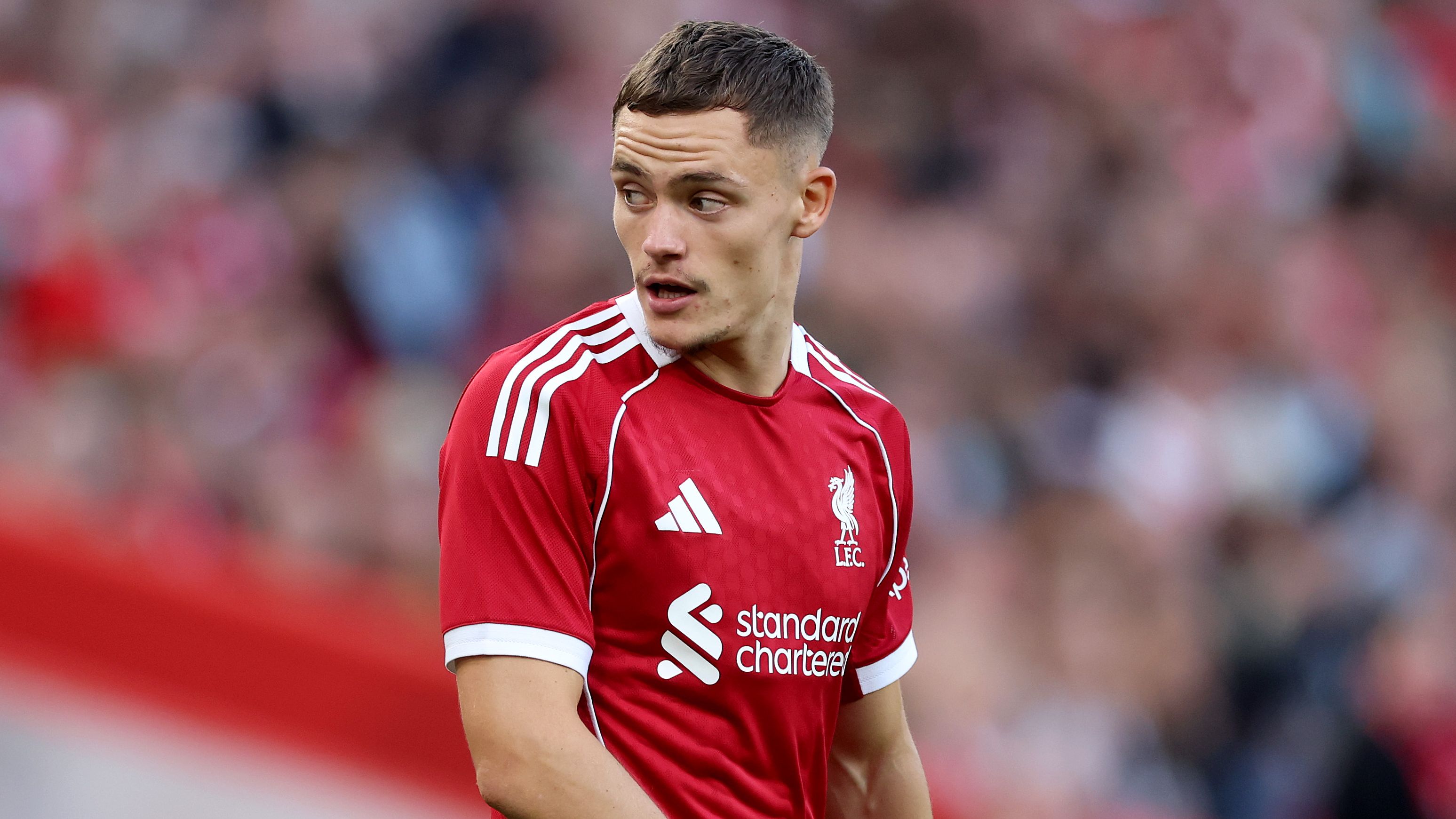 images-v3-getty-2228629729-crop-MM5DGMBZGU5DCNZUGE5G433XMU5DOMRVHIYTKMI=-GettyImages-2228629729