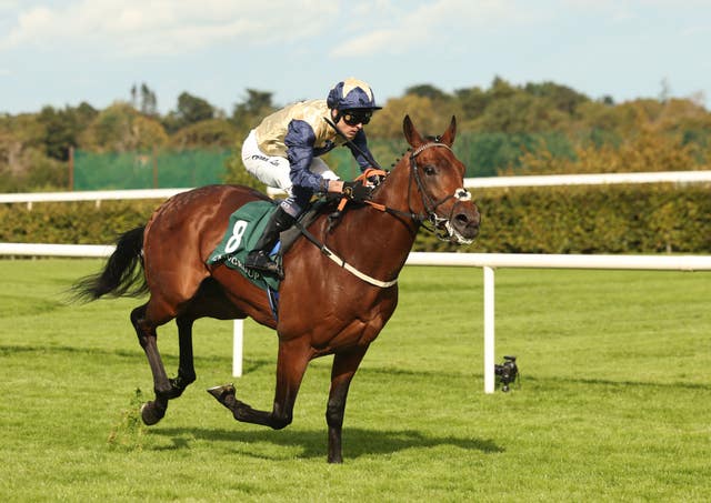 v2-image-production-3e99ccd2e4686cea3eed8b661ecaf038Y29udGVudHNlYXJjaGFwaSwxNzU3ODY0OTQ2-2.81593968