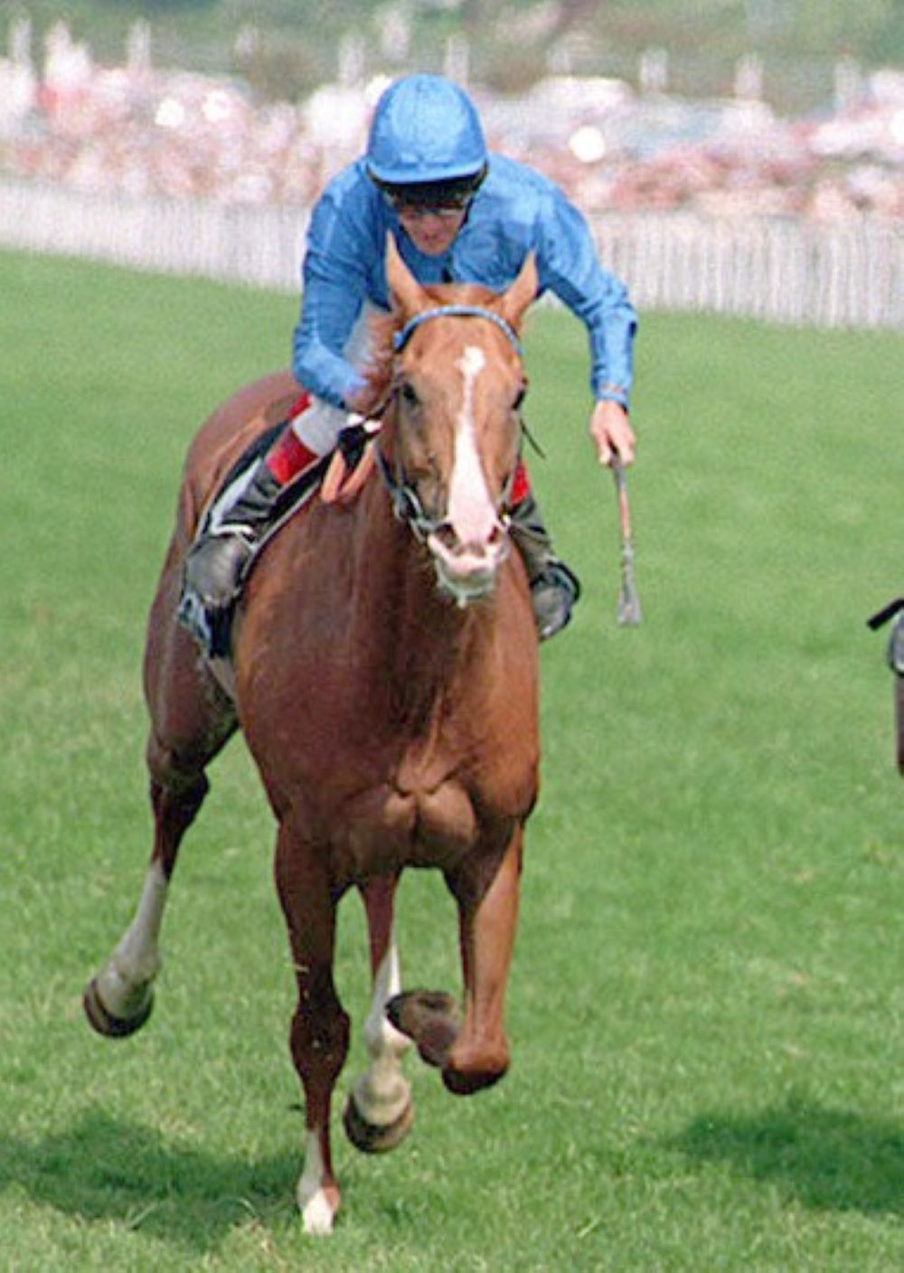 2025-06-19113128-4792af4f-6d86-43dc-9fa2-fc447458f424