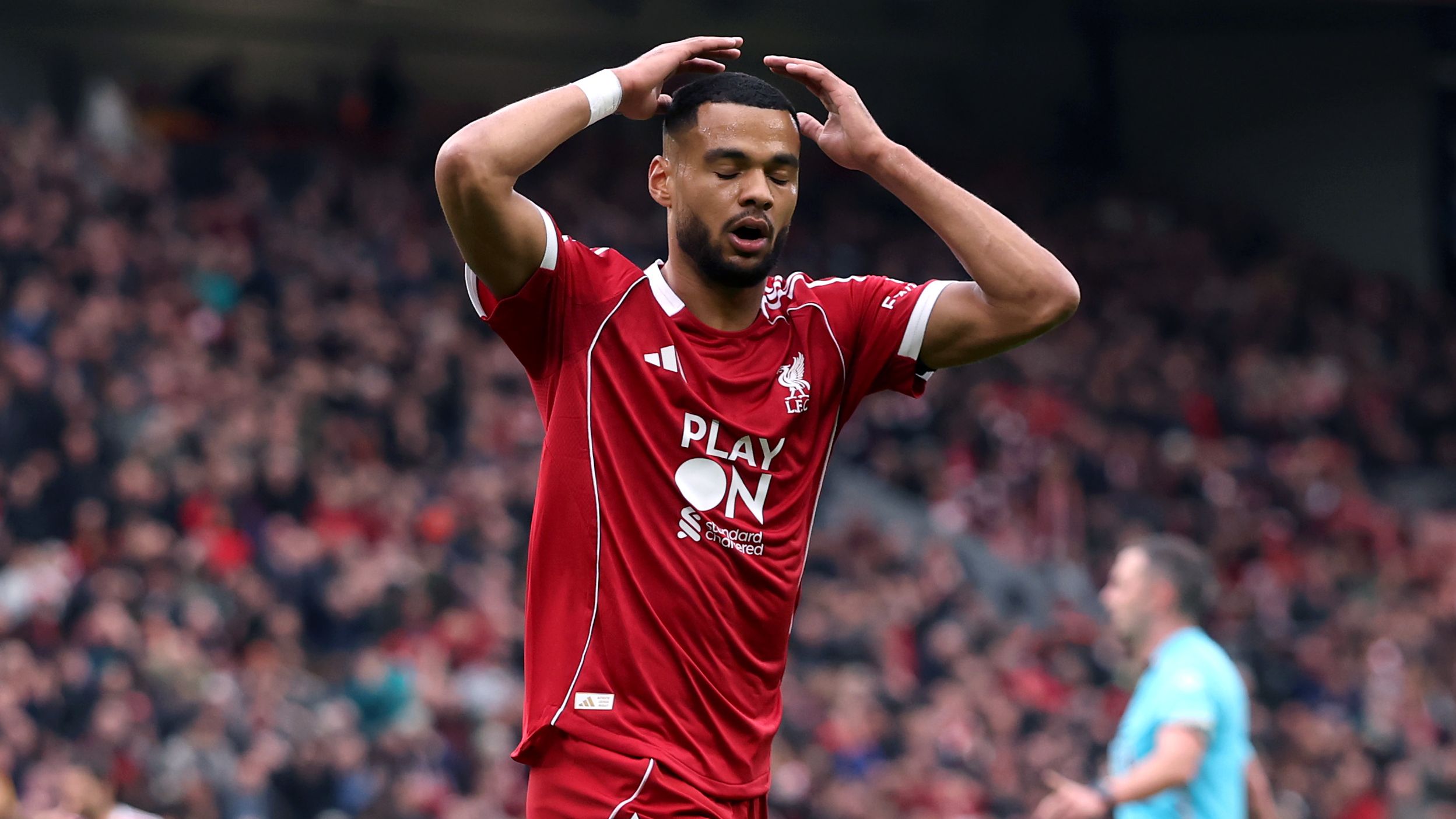 images-v3-getty-2242015099-crop-MM5DENBZG45DCNBQGU5G433XMU5DCMJWGE5DGNBX-GettyImages-2242015099