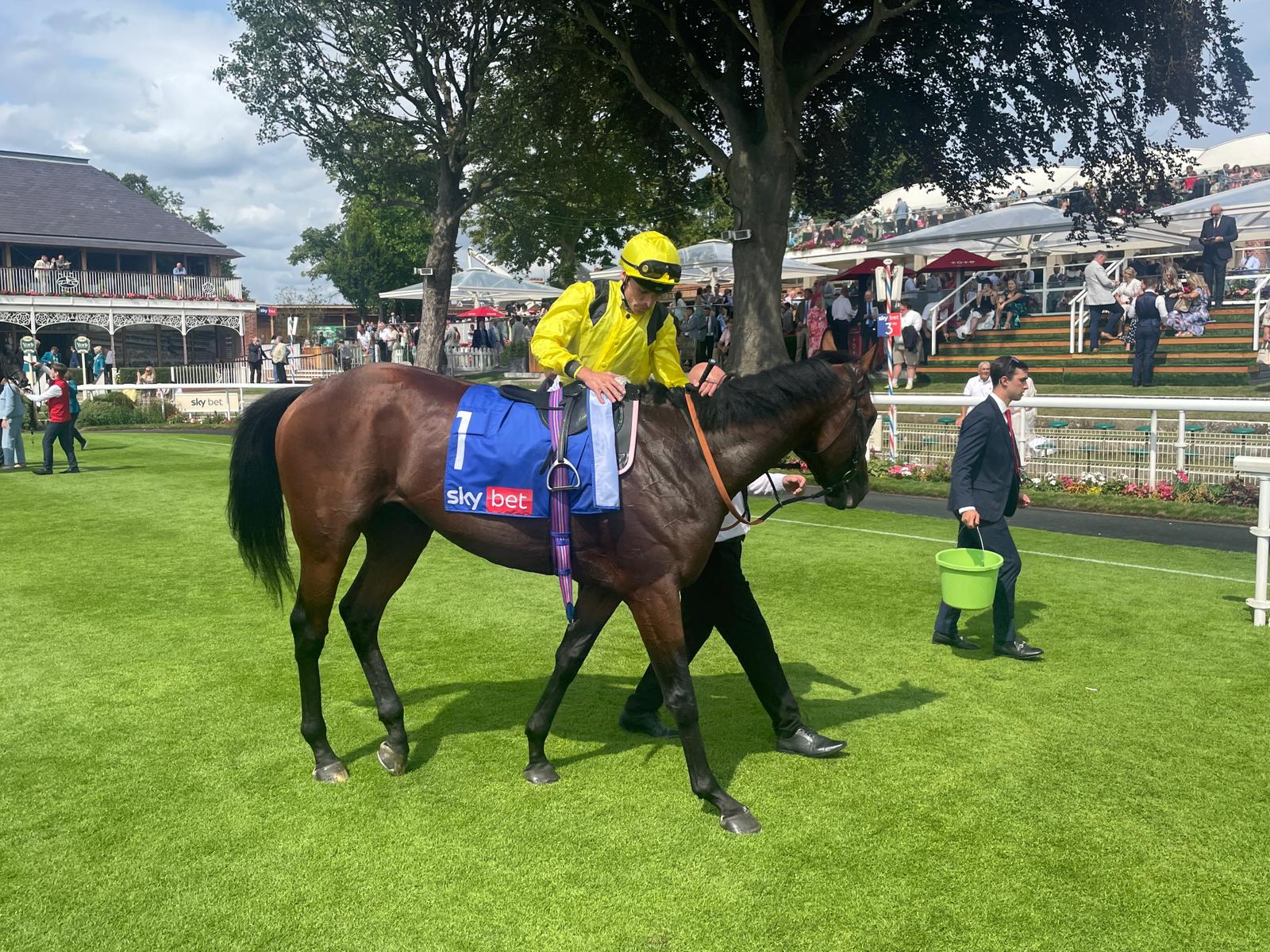 2025-07-26151408-e5f18a14-1496-4d27-9881-edd721ef4ce1