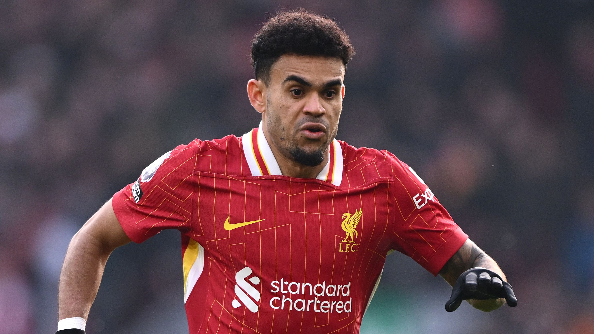 images-v3-getty-2200153416-crop-MM5DENBUHA5DCMZXG45G433XMU5DINBUHI4TI===-GettyImages-2200153416