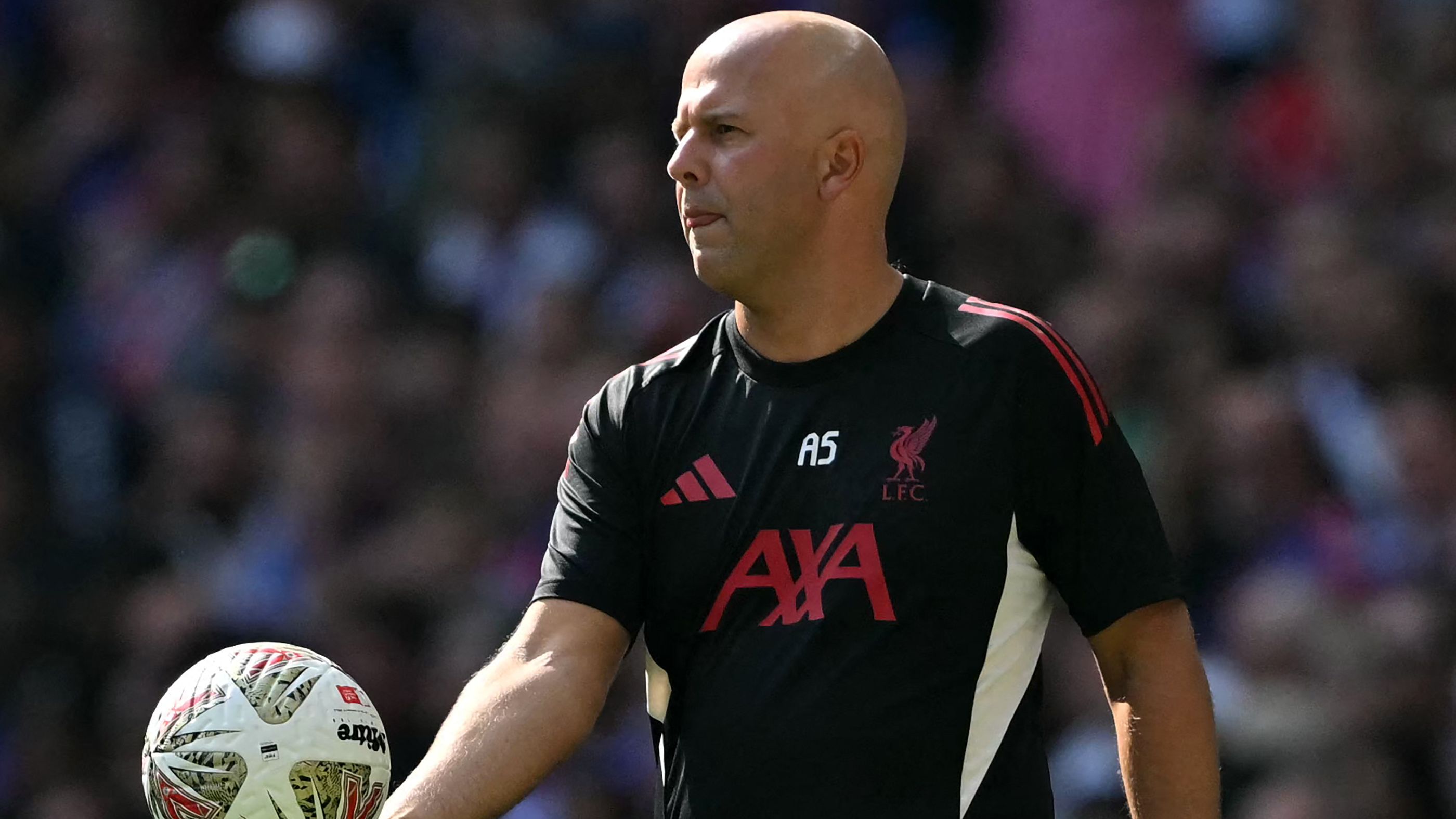 images-v3-getty-2228723012-crop-MM5DEOBQGA5DCNJXGU5G433XMU5DKMJSHI3DE===-GettyImages-2228723012